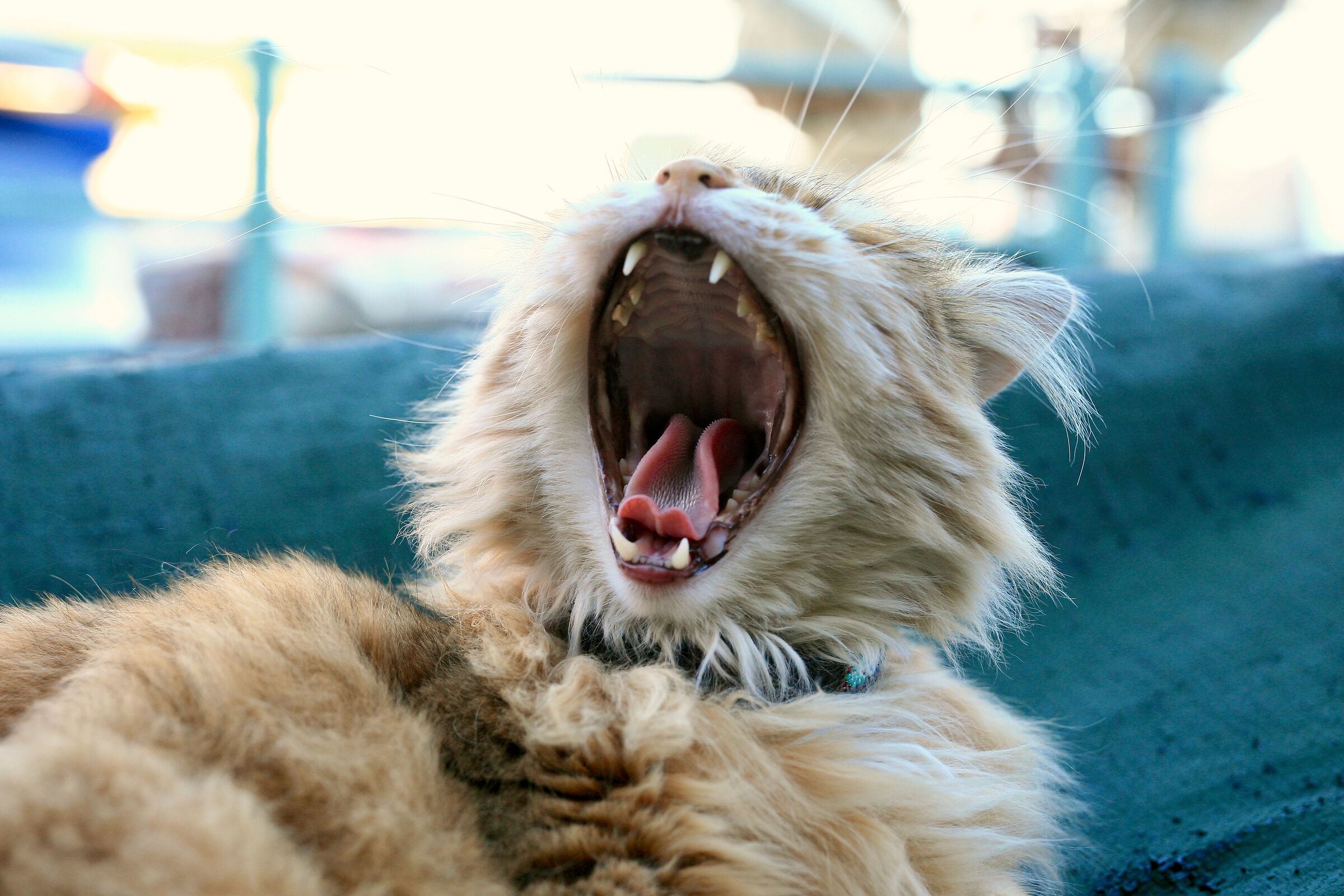 Aprile dolce dormire