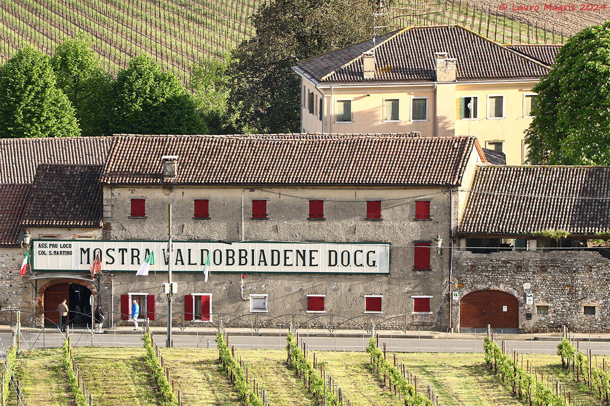 Mostra del Valdobbiadene d.o.c.g. a Col San Martino(Tv)