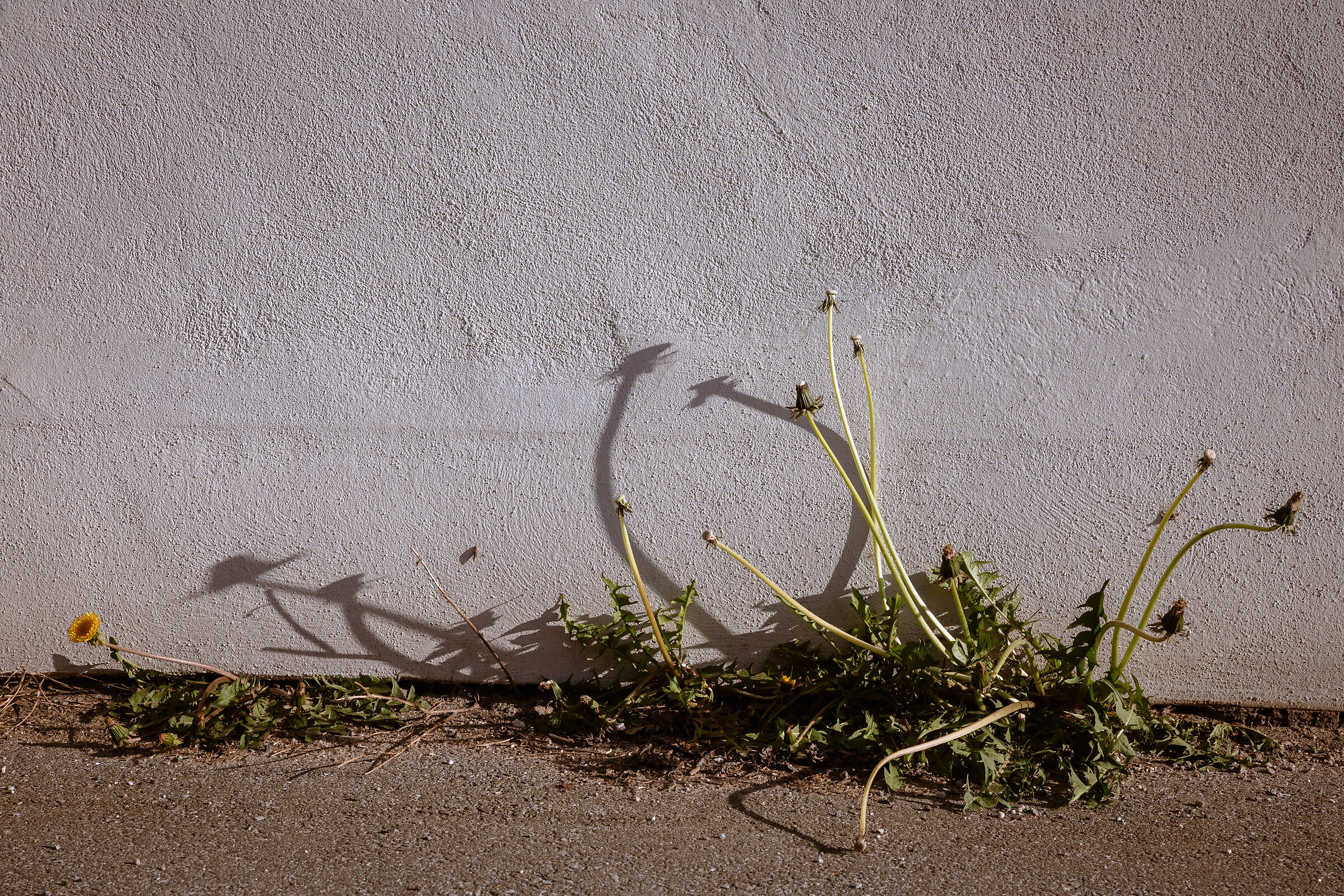 To the point of disappearing