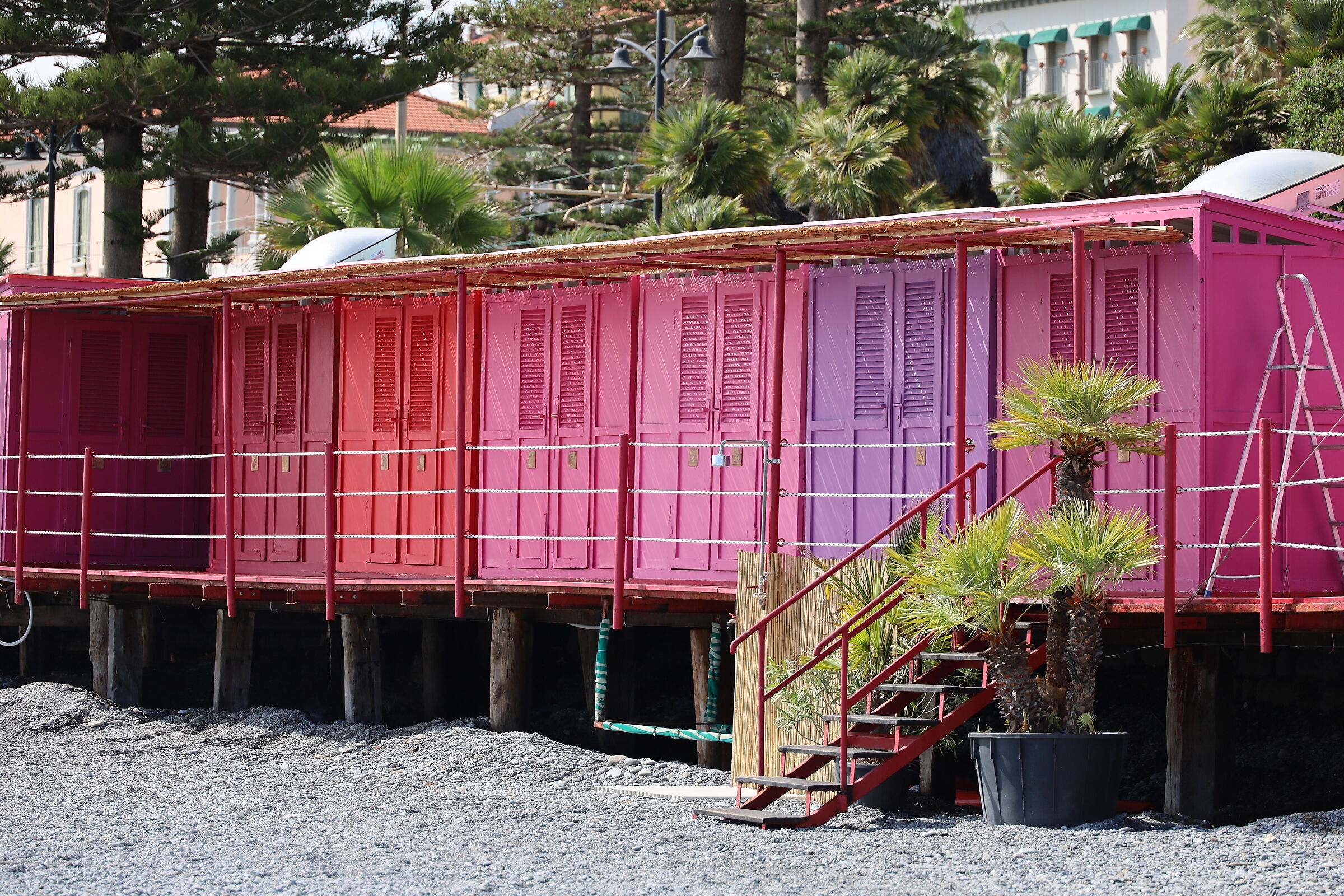 Which cabin do you choose?