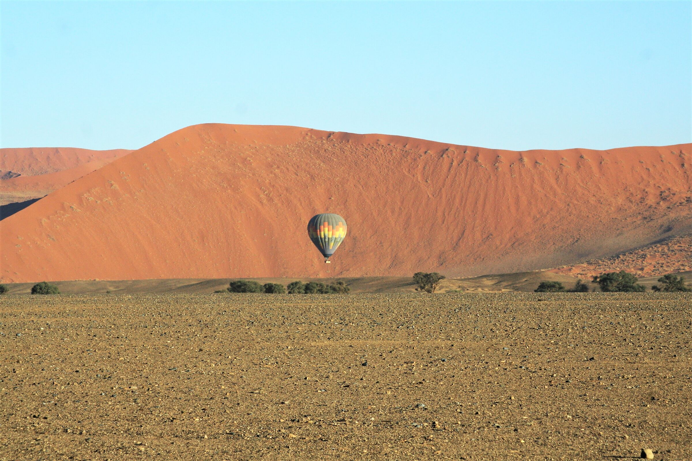 peccato non averla fatta