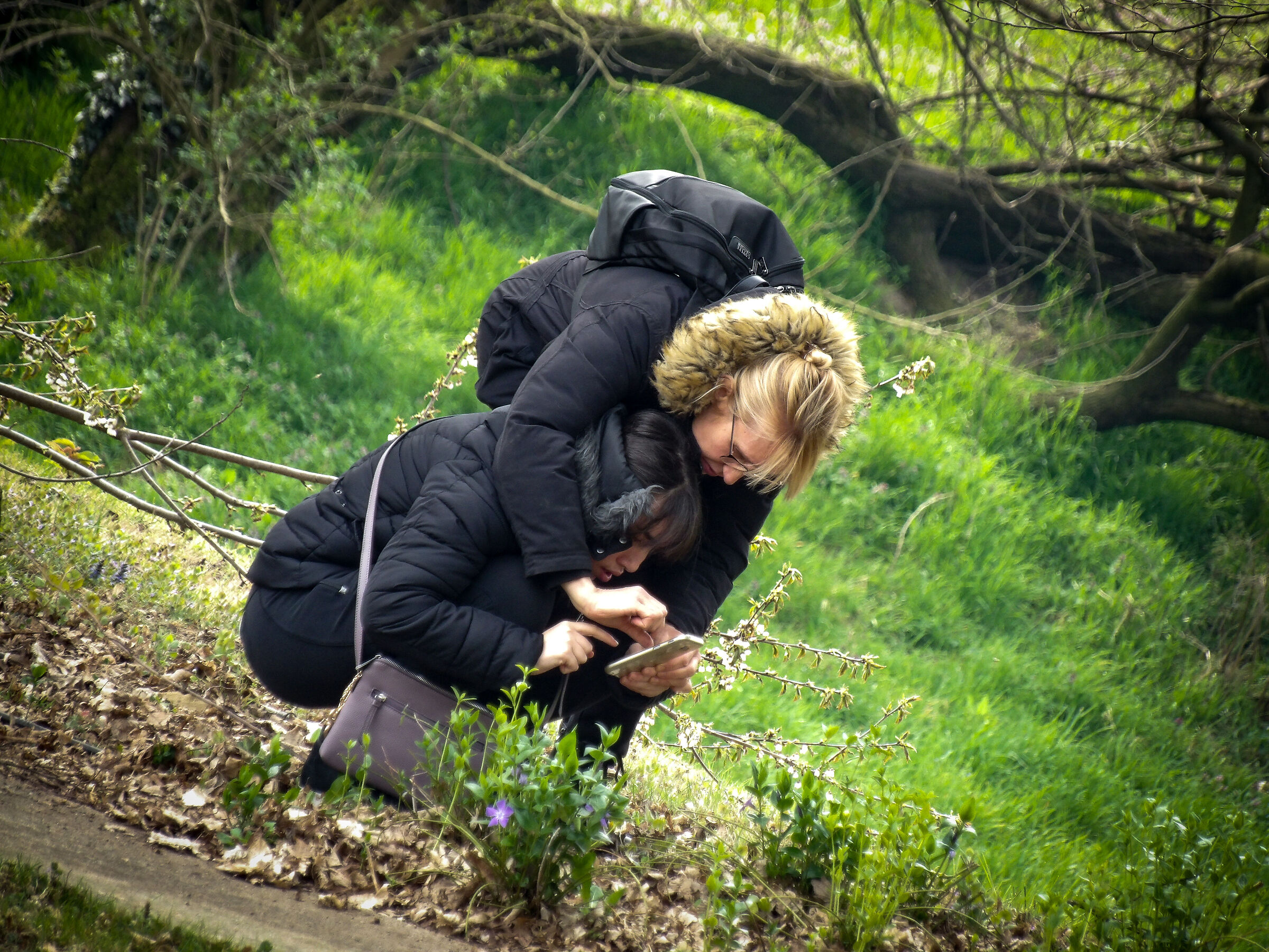 I teach you how to recognize plants...