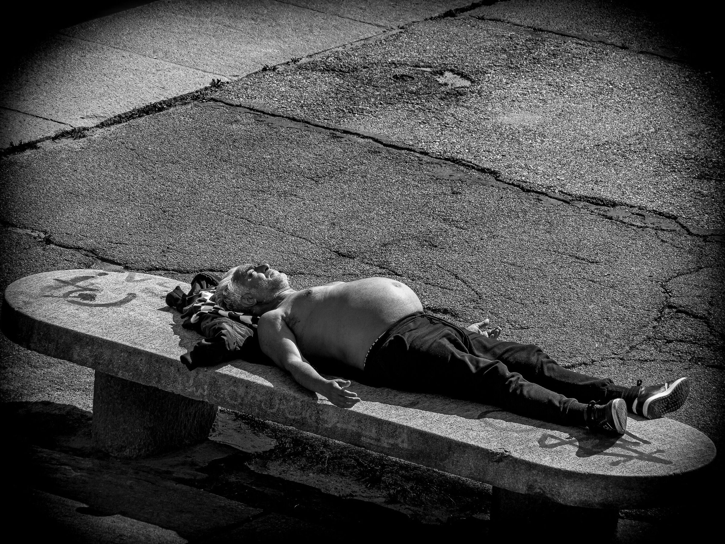 Brother Sun and Sister Panza...