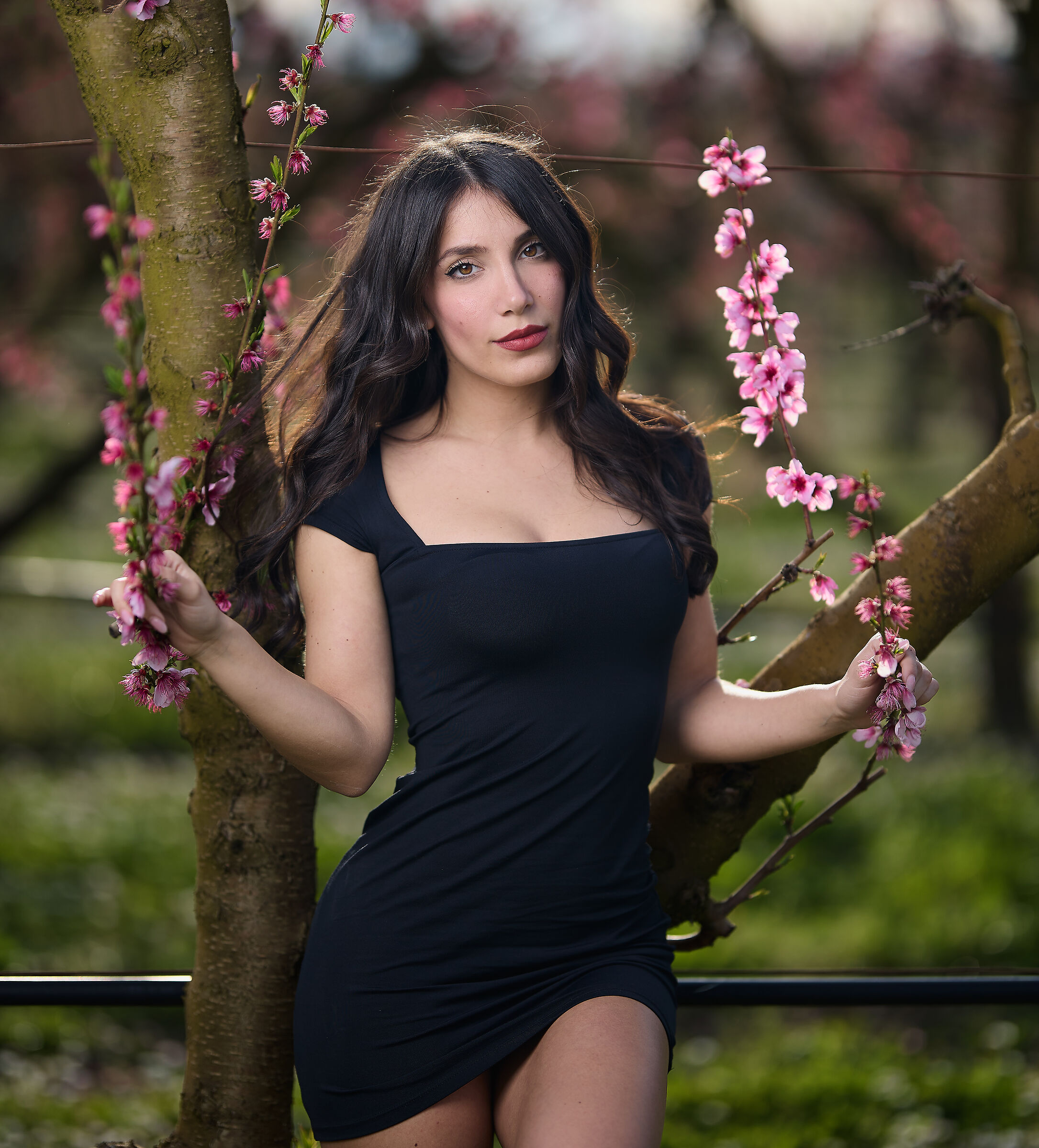 Primavera