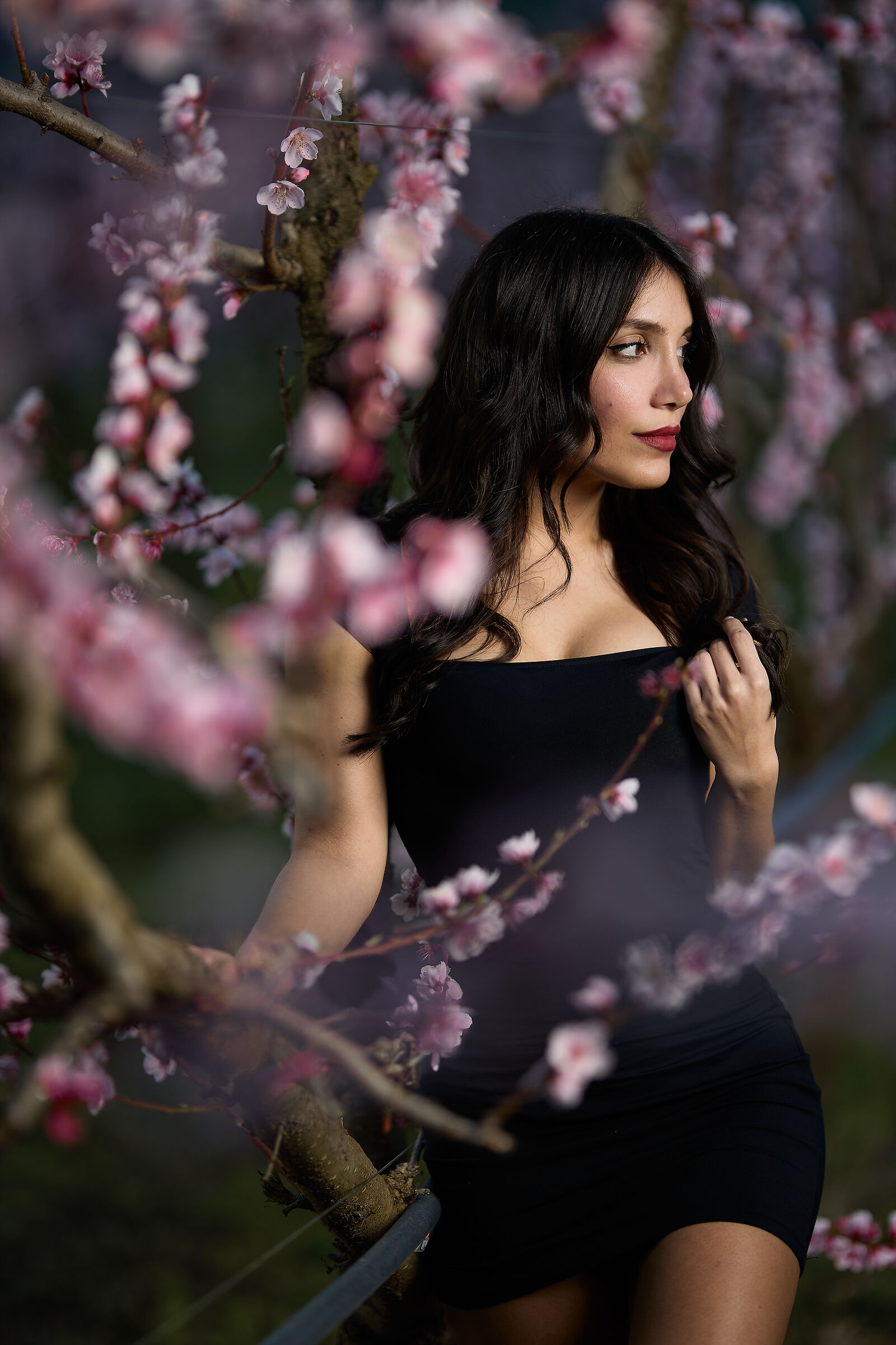 Primavera