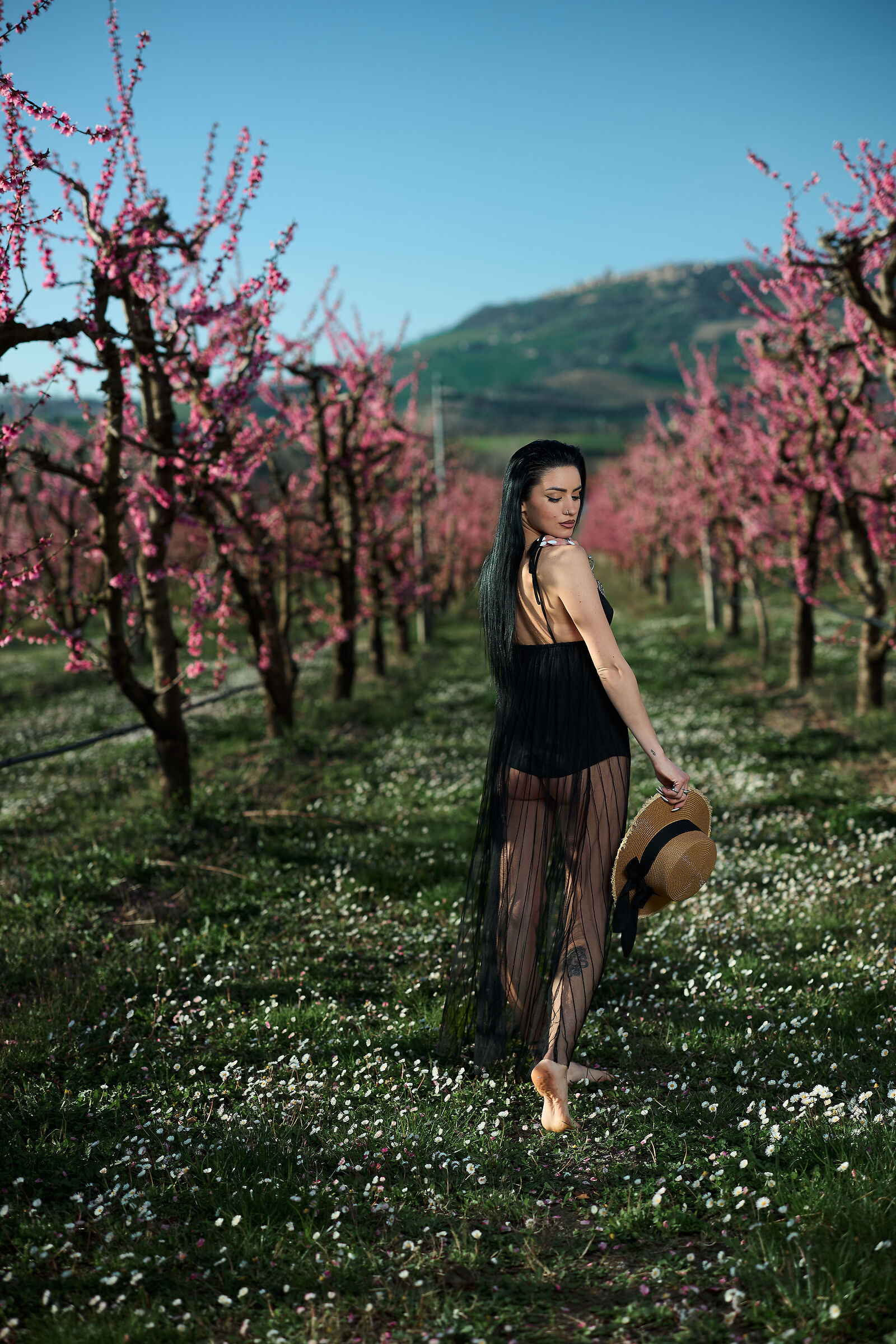 Primavera