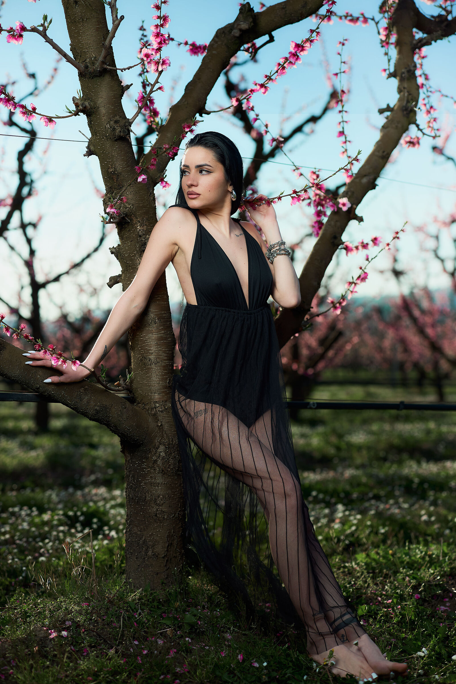 Primavera
