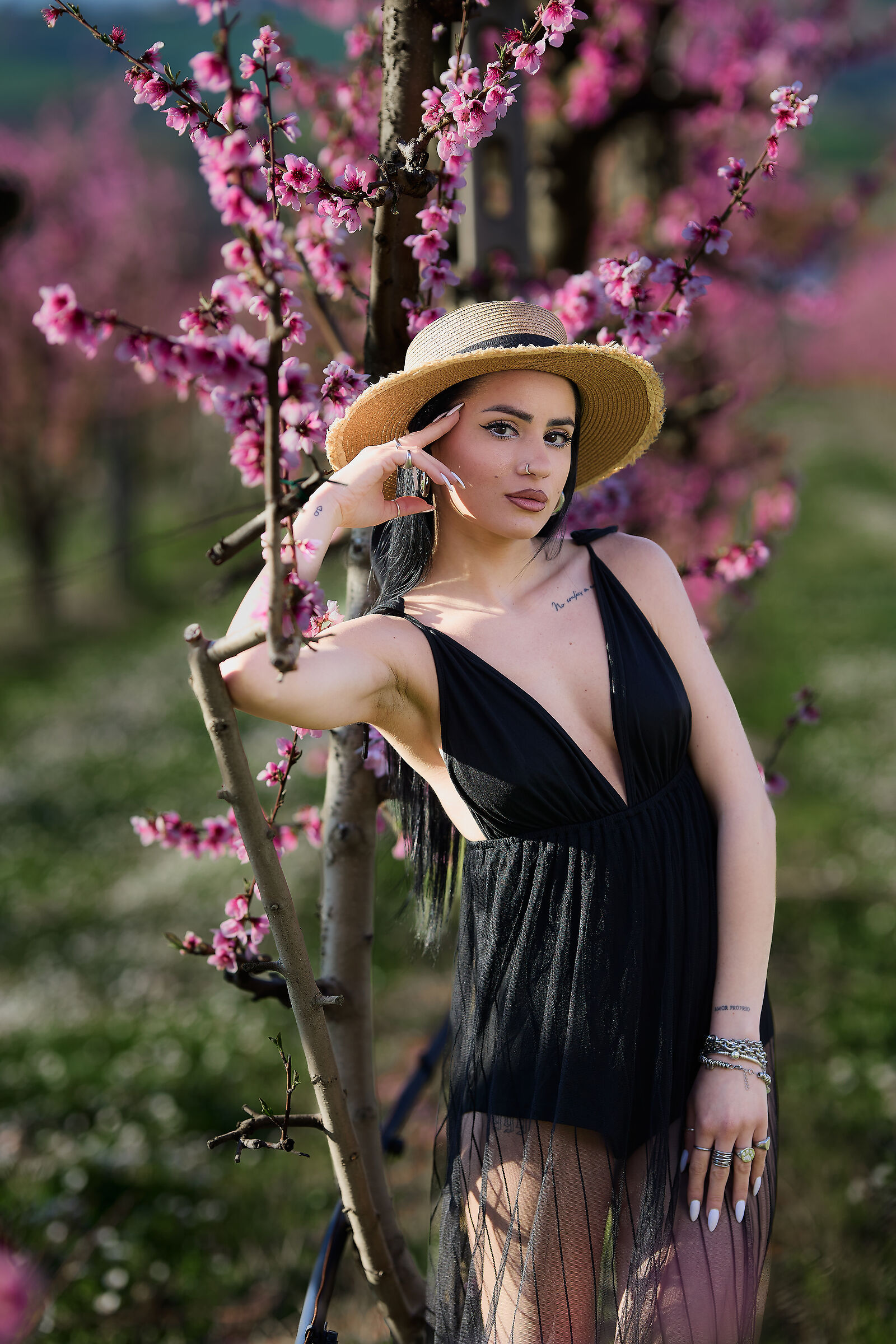 Primavera