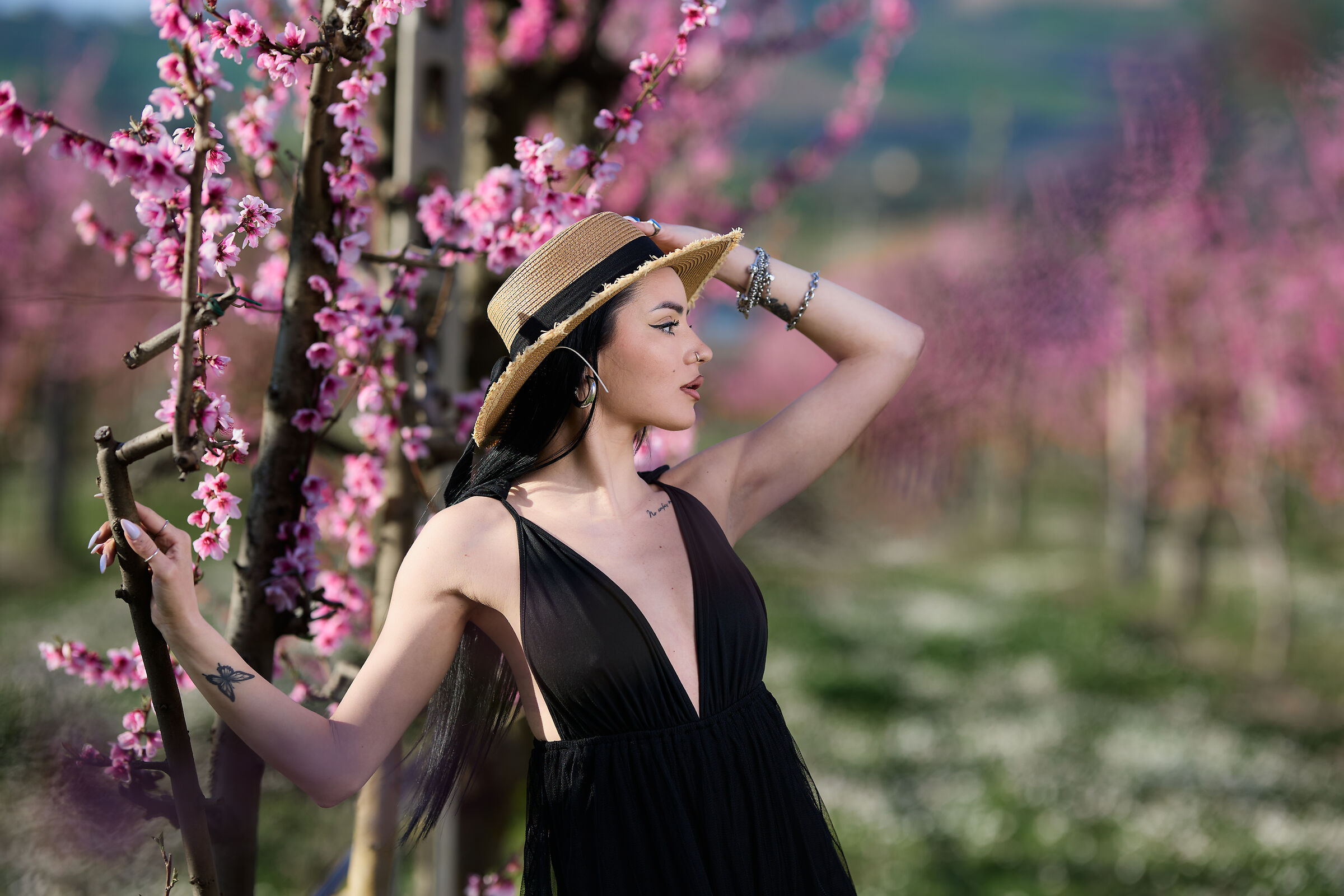 Primavera