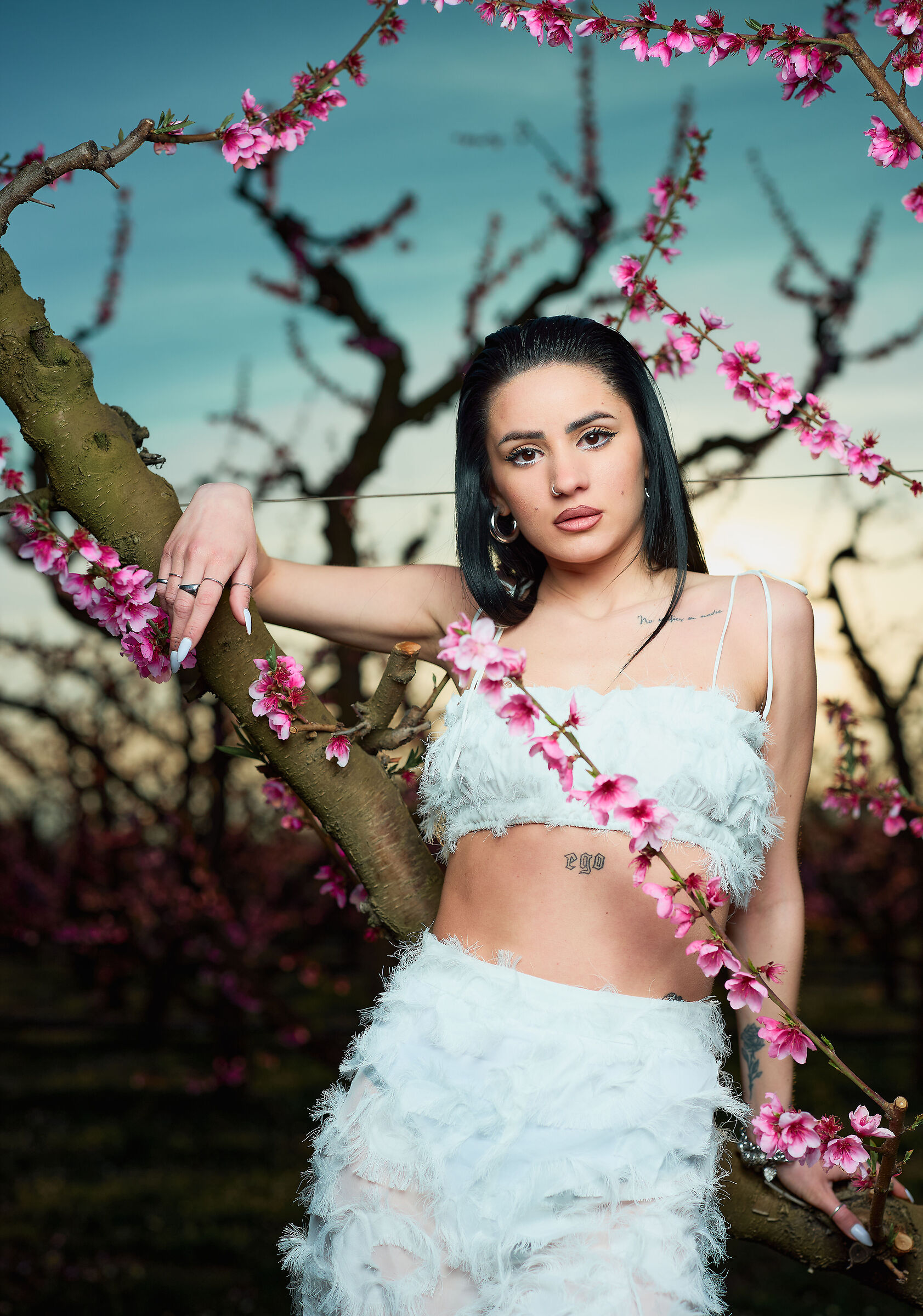 Primavera