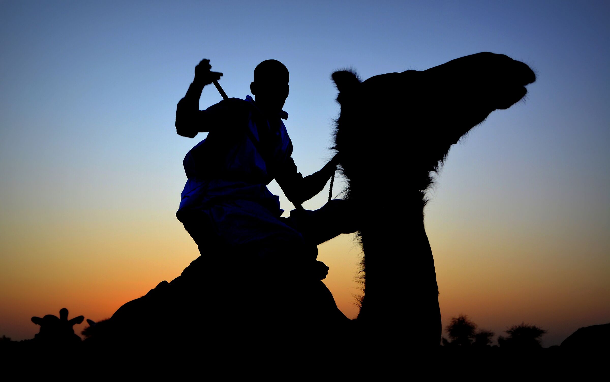 Oualata (Mauritania) Festival of Caravan Cities