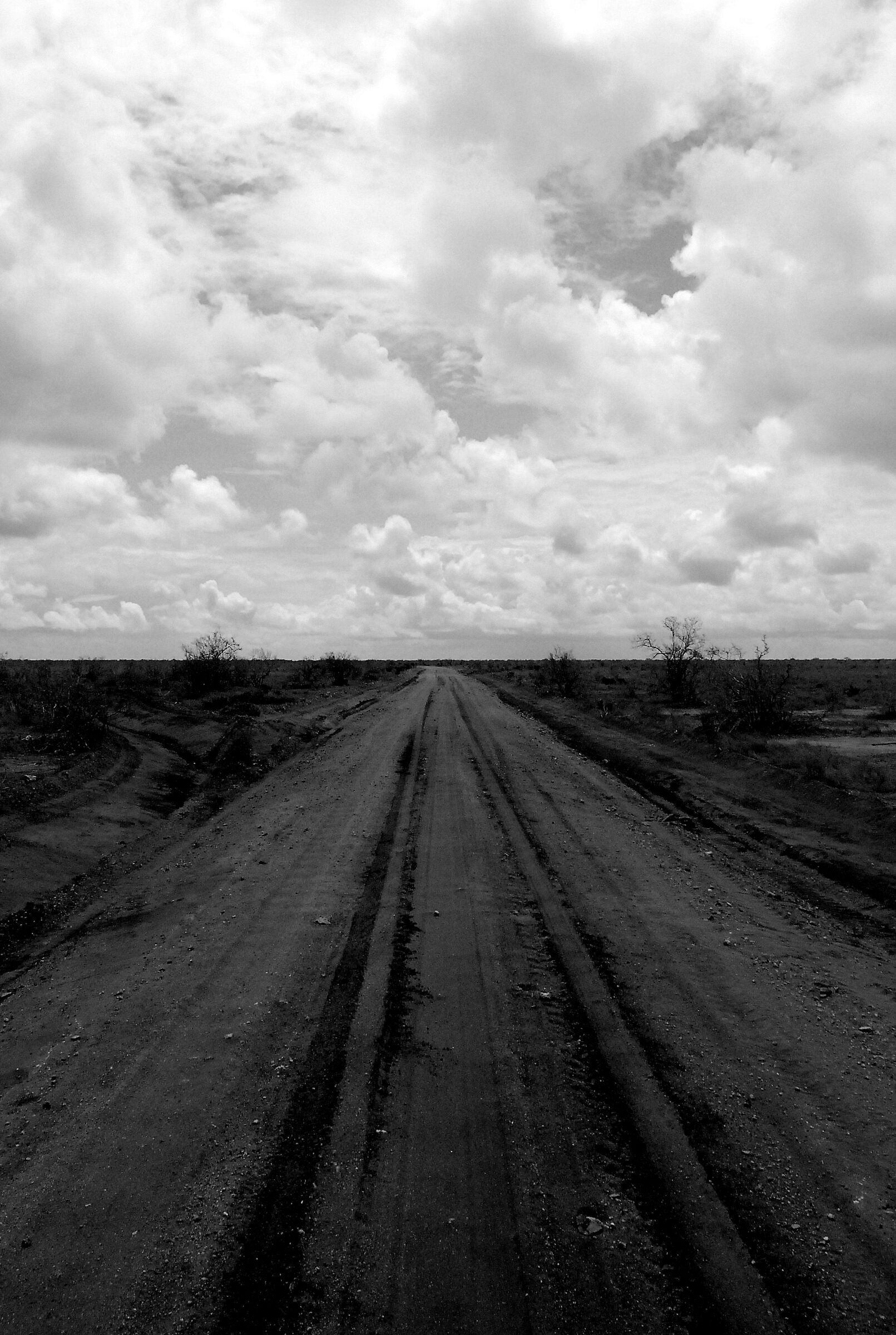 TRACK