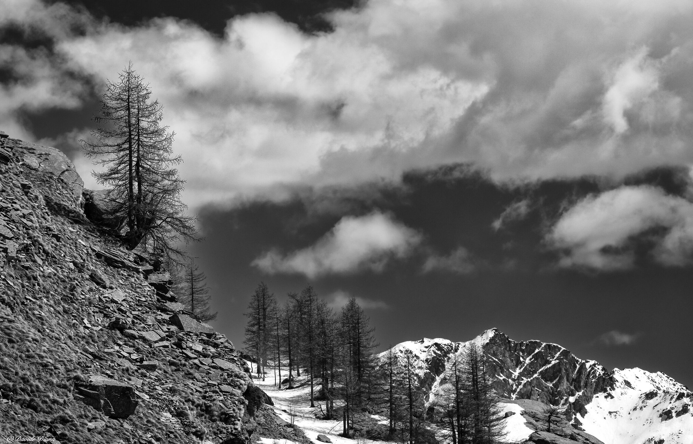Gran Paradiso National Park - Piedmont