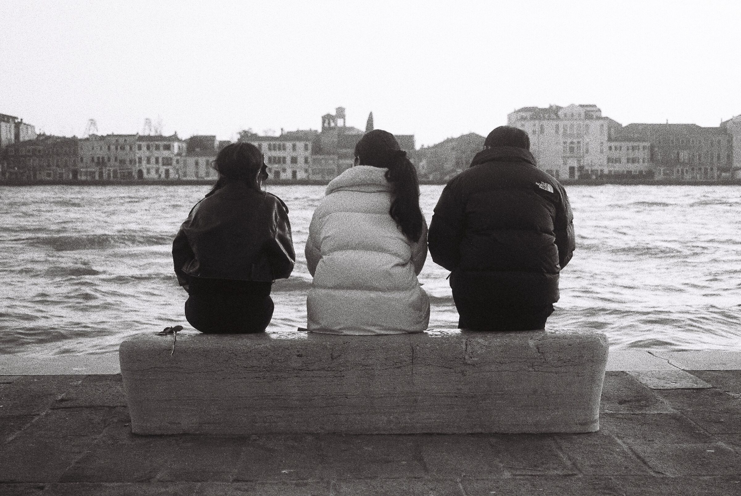 Tre persone e una rosa