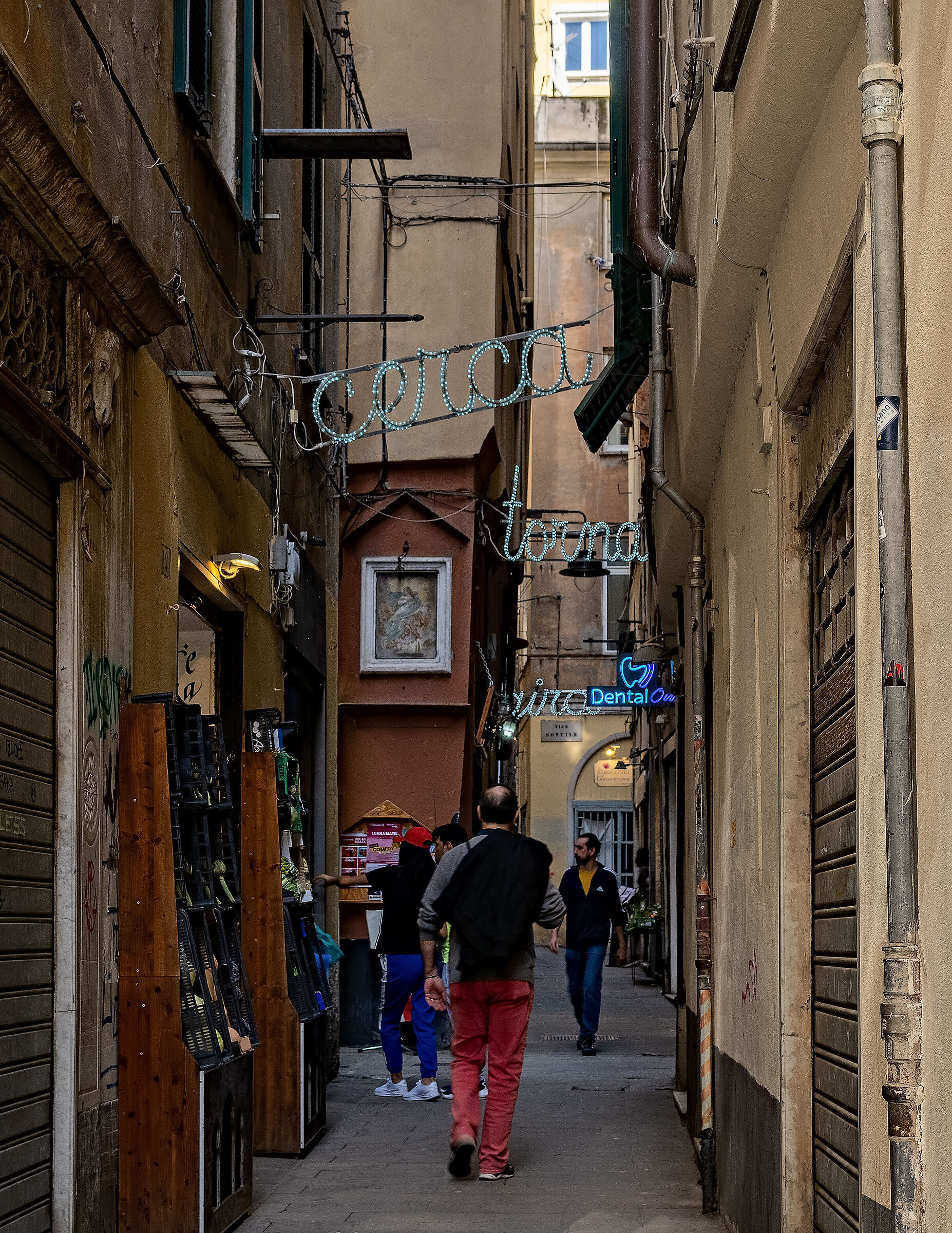 Genoa - Characteristic "caruggio"