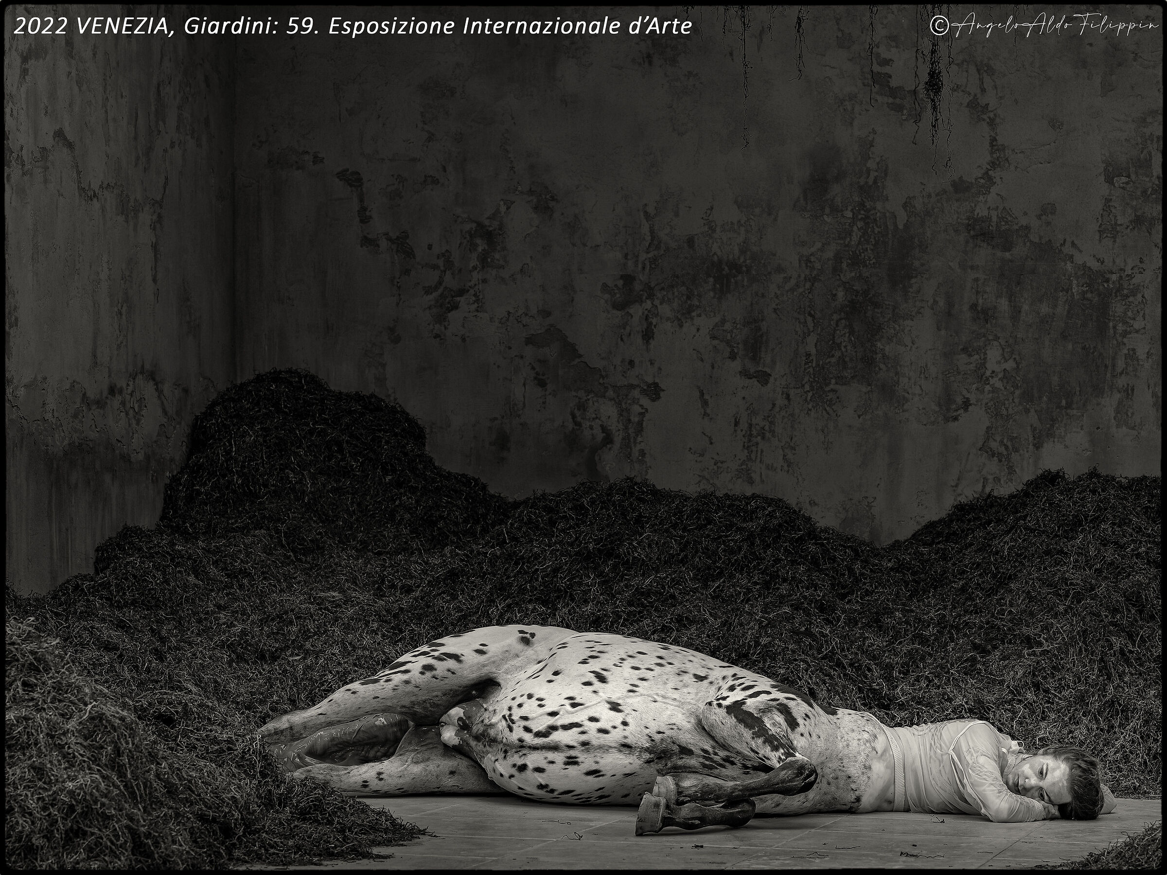 VENICE, 59th Biennale Arte