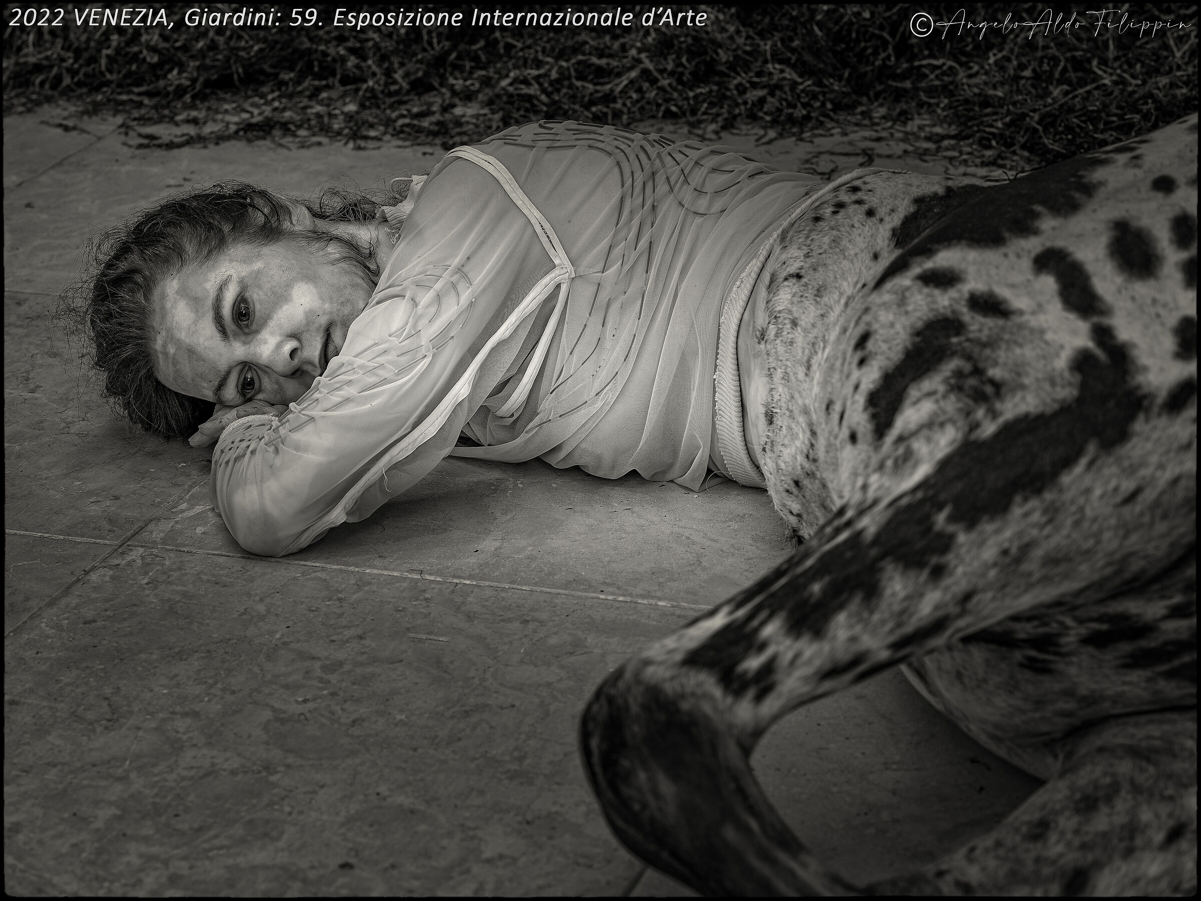 VENICE, 59th Biennale Arte