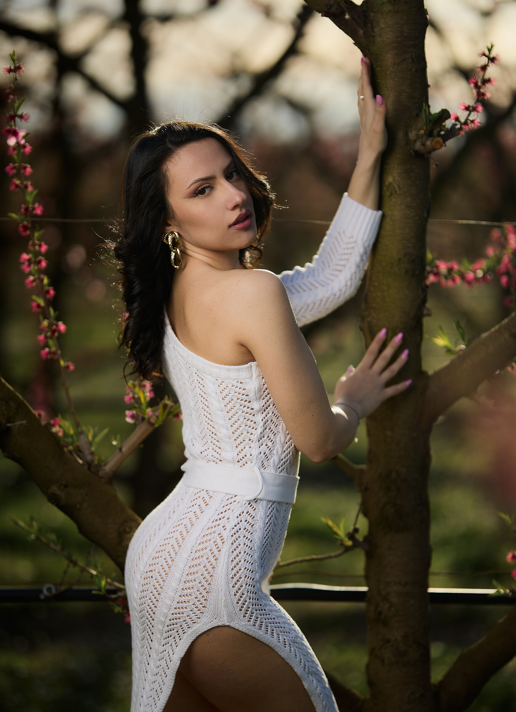Primavera