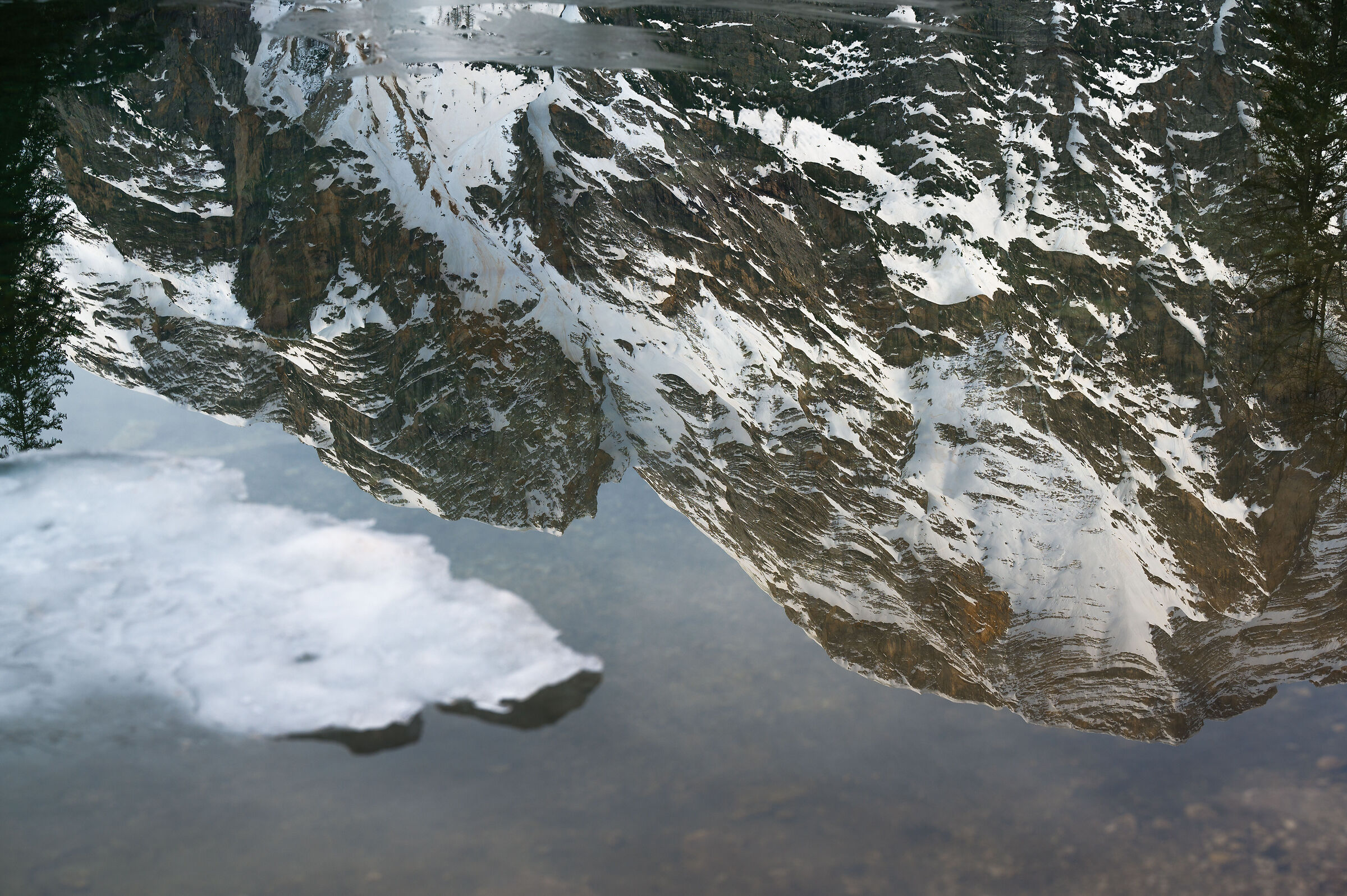 Reflection