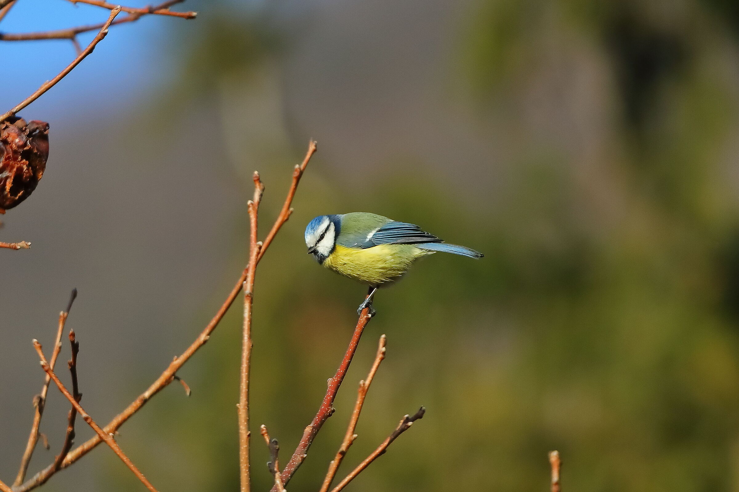 February 05, 2024 - 0064