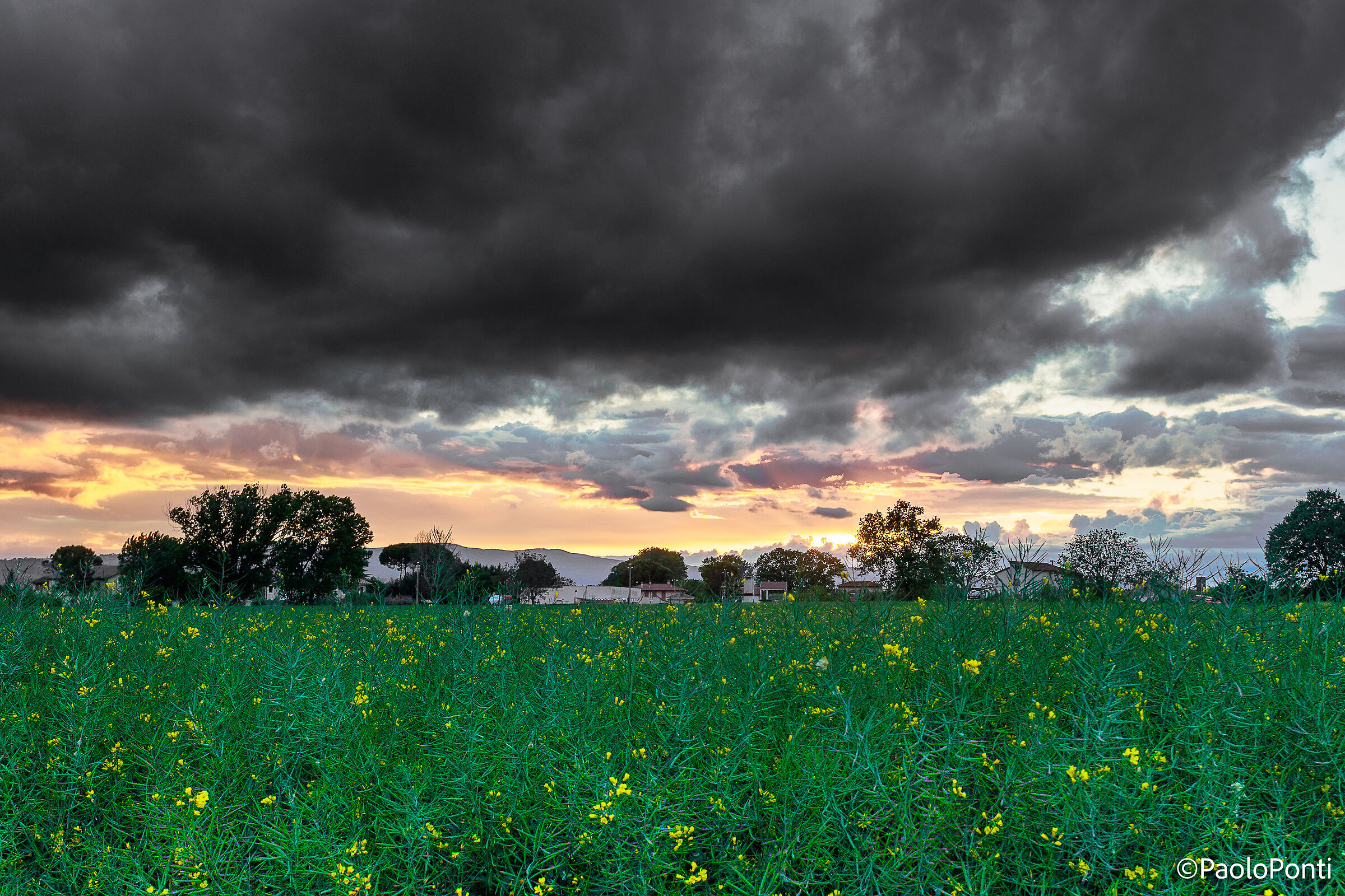 Fiori e nuvole di paese