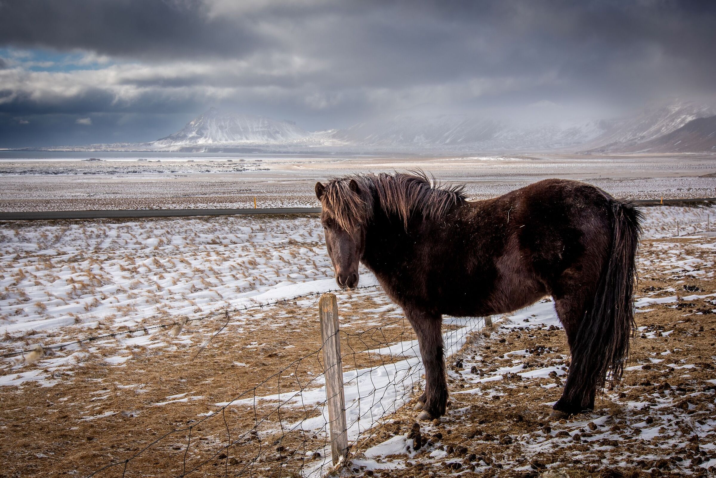 Proud resistance to unforgiving nature