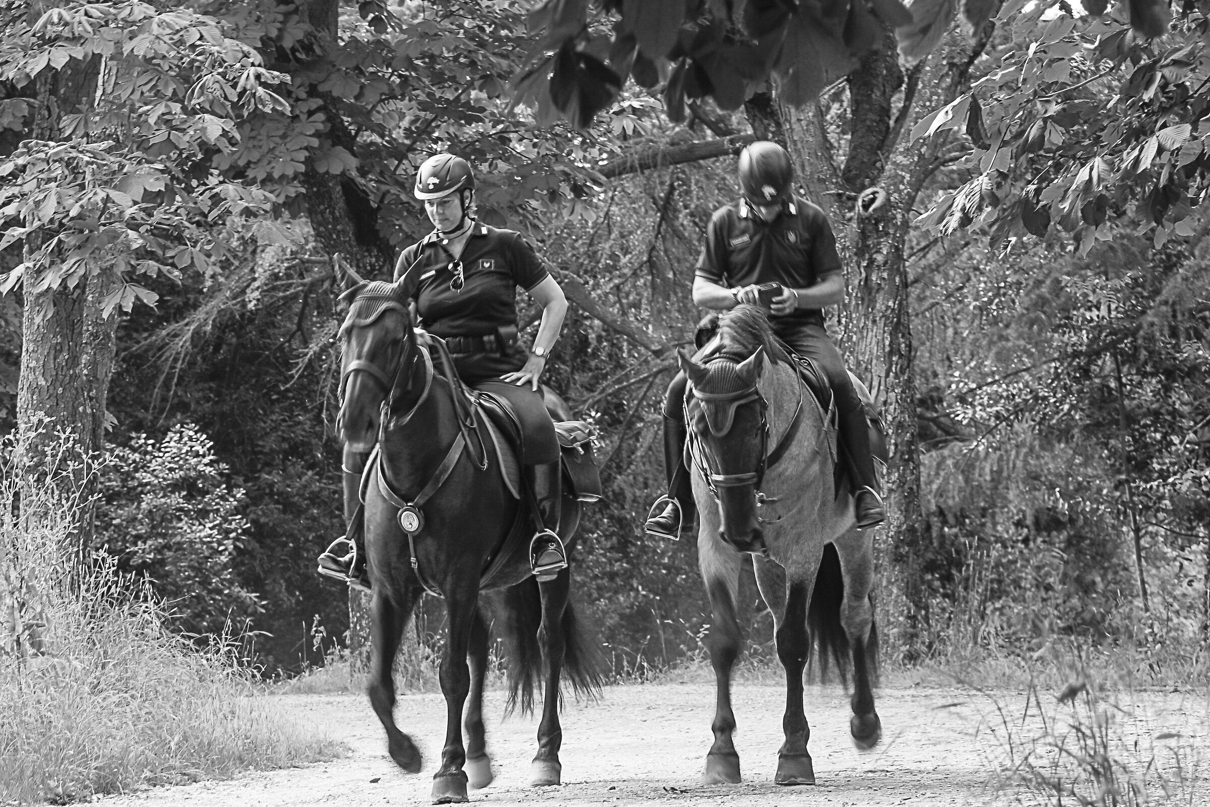 Following the navigator... :) :) :)