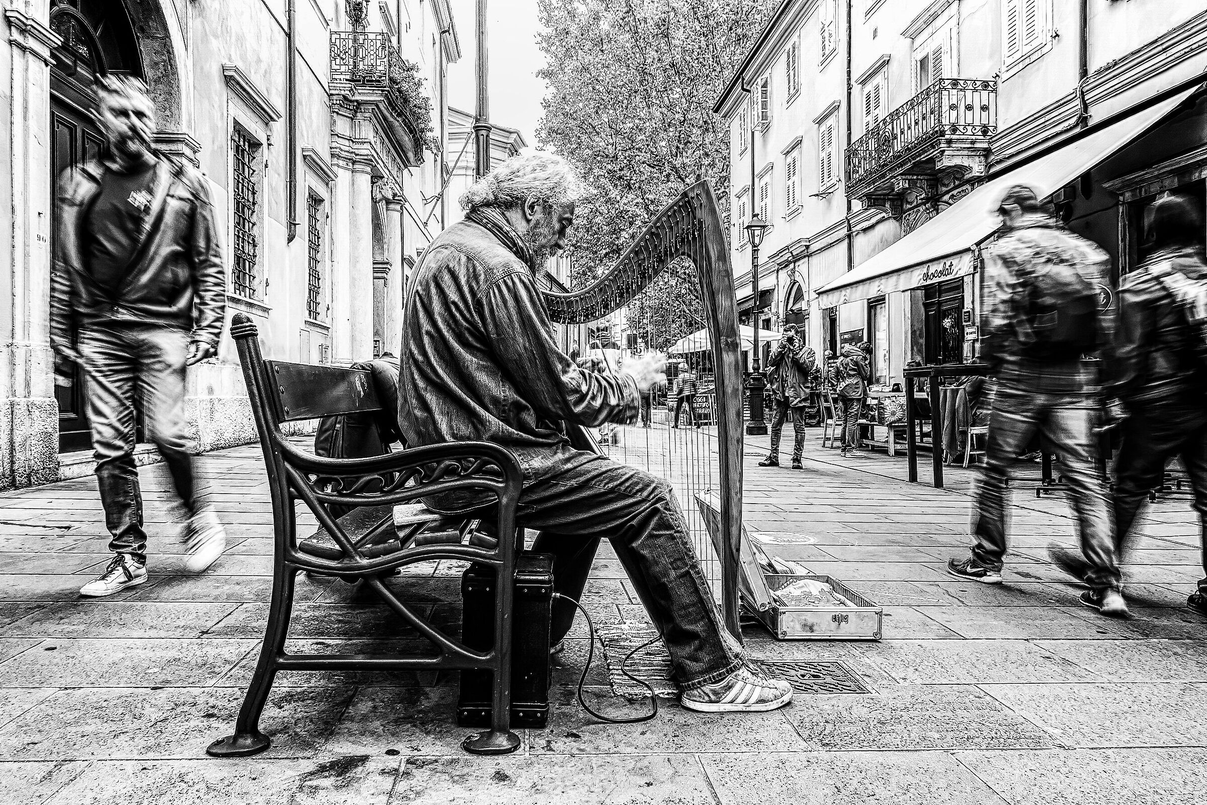 The Harpist and the city
