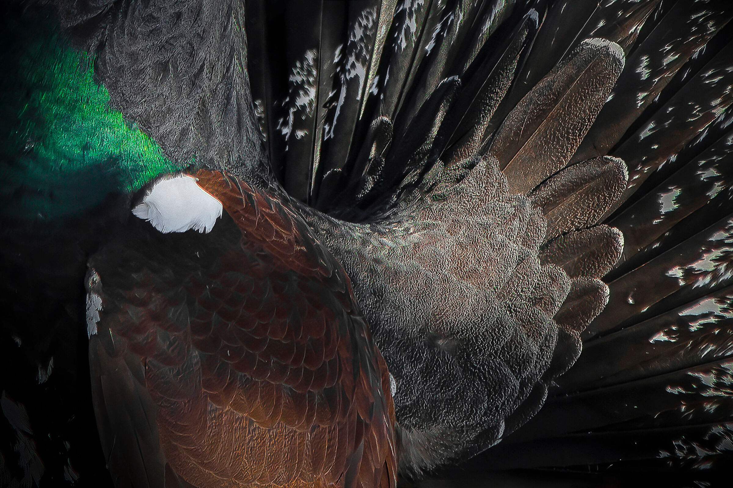 La pittura di madre natura