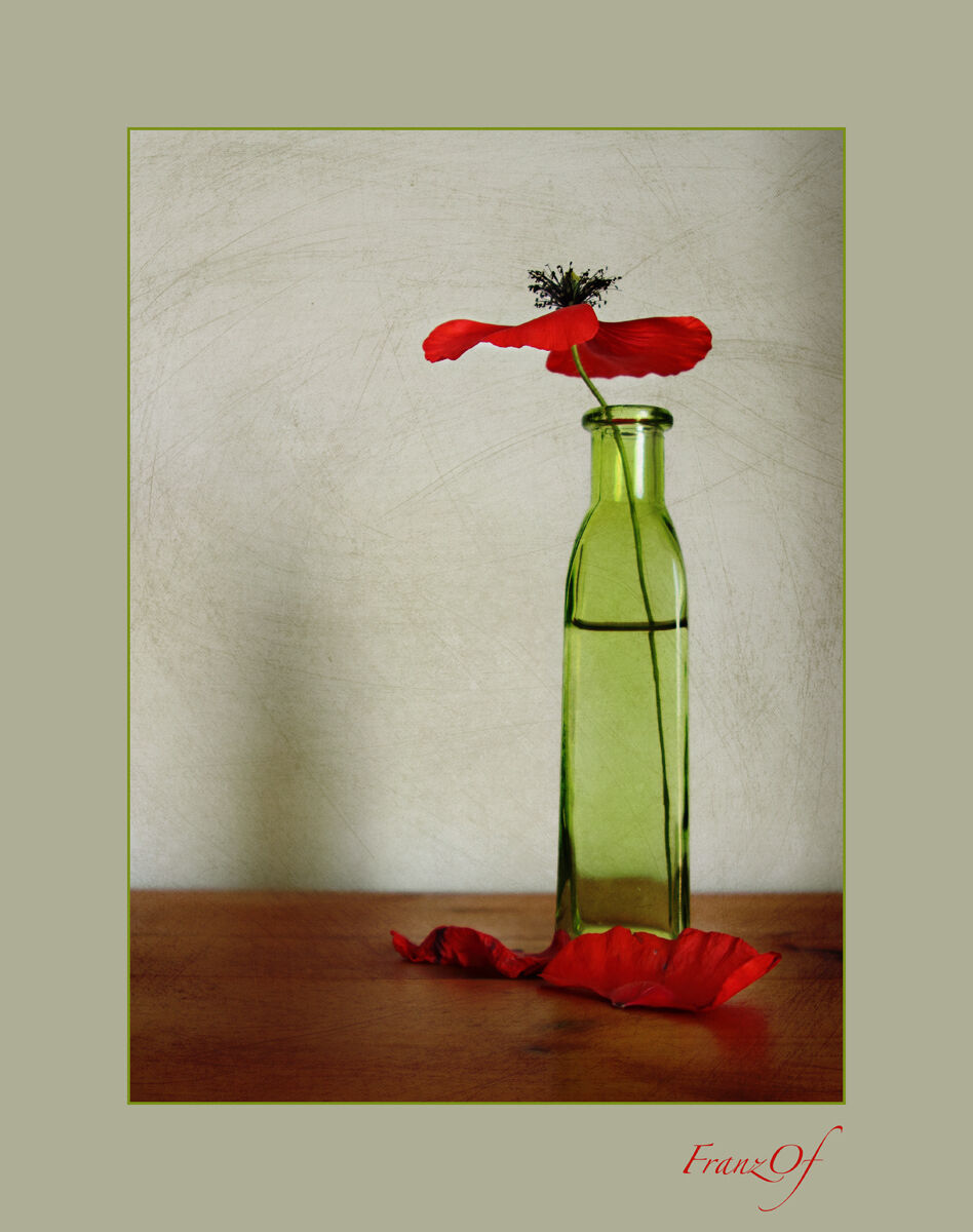 Life and Death of a Flower 2