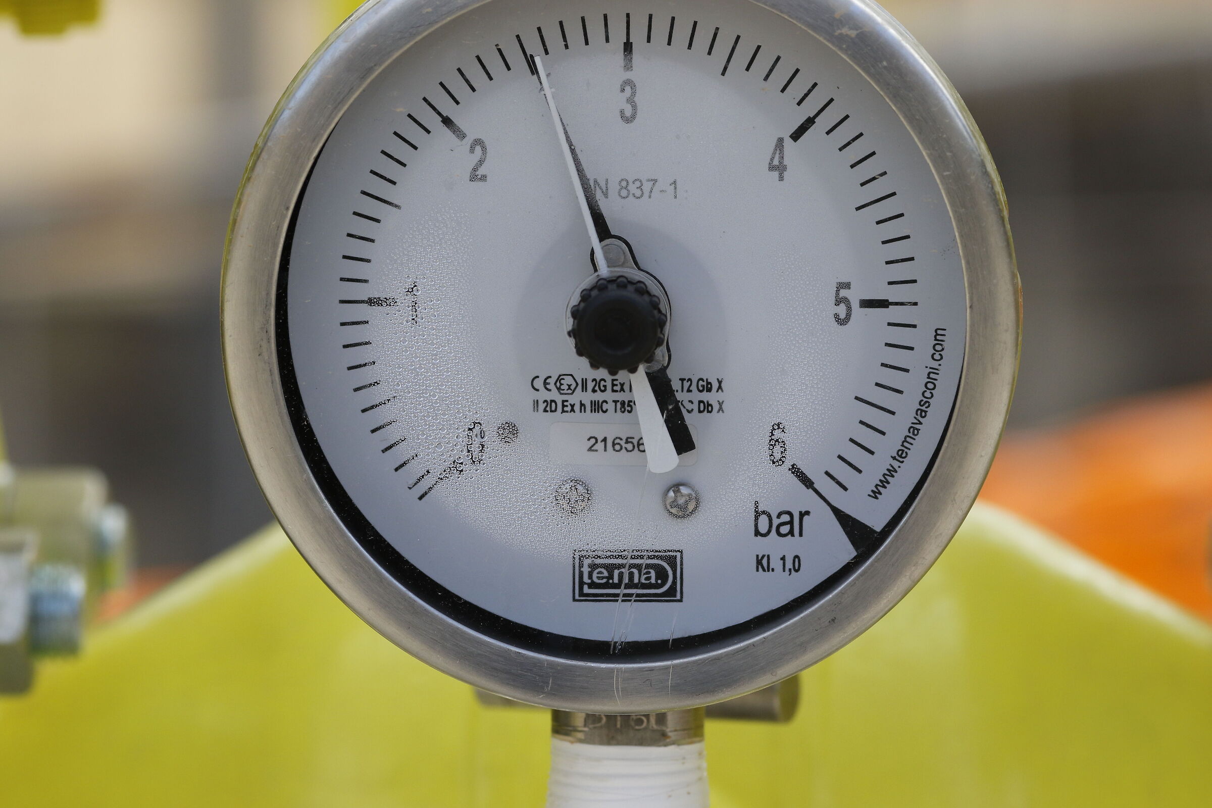 " Crop 216 " Canon 135 F. 2 L Usm, 7 D II