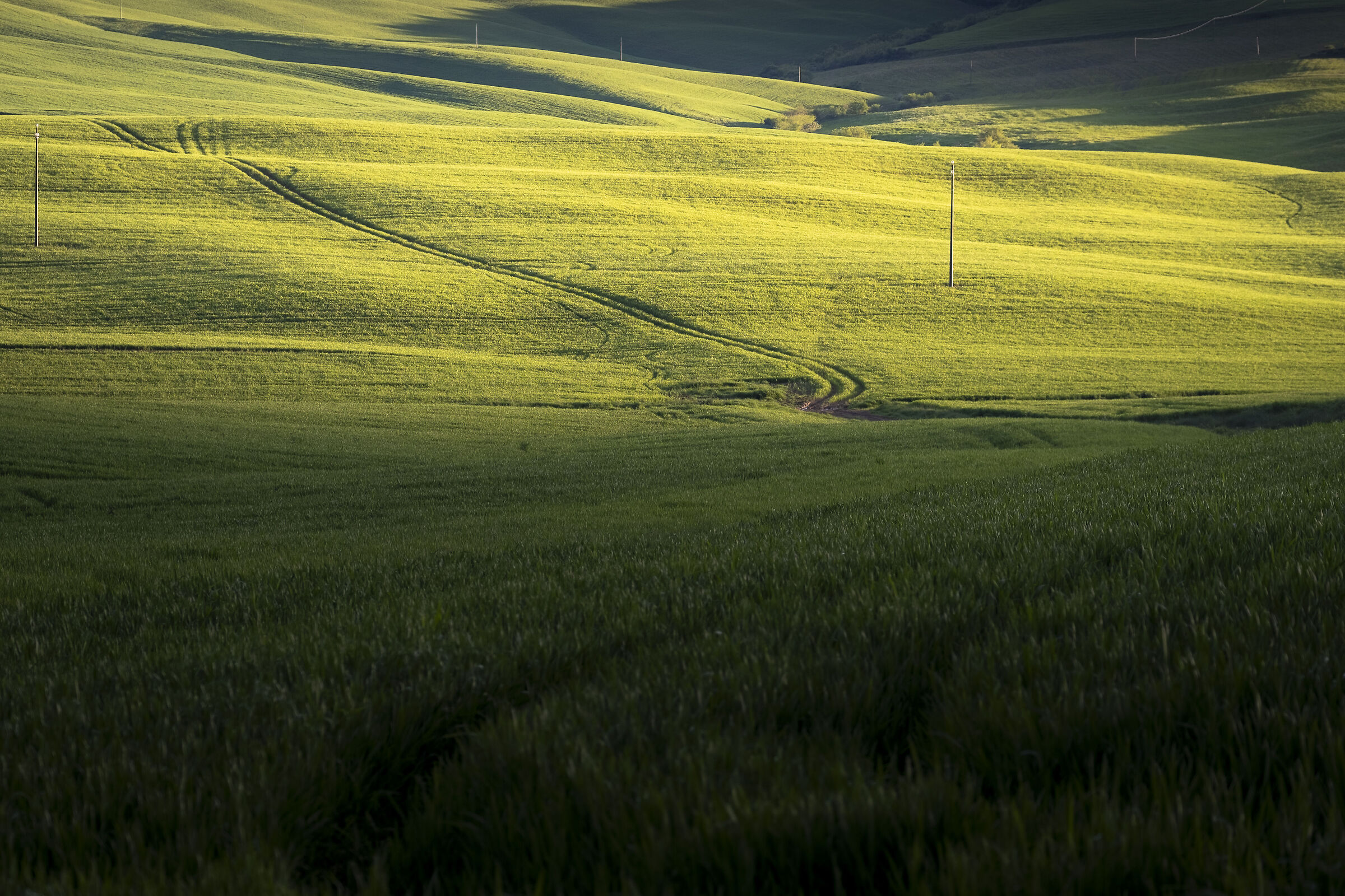 Contrasti in Valdorcia