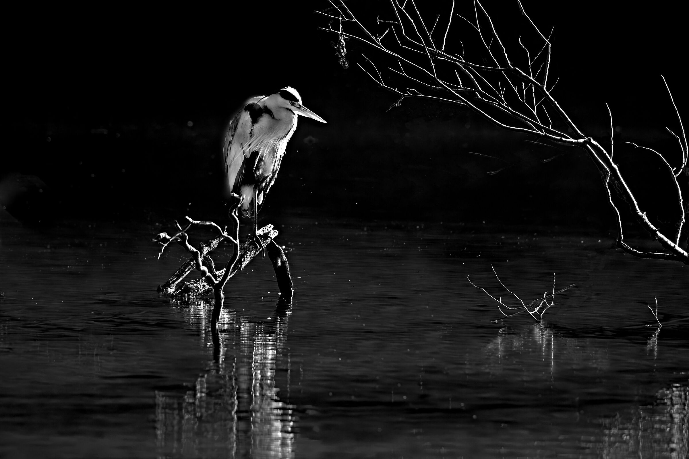 Sul fiume