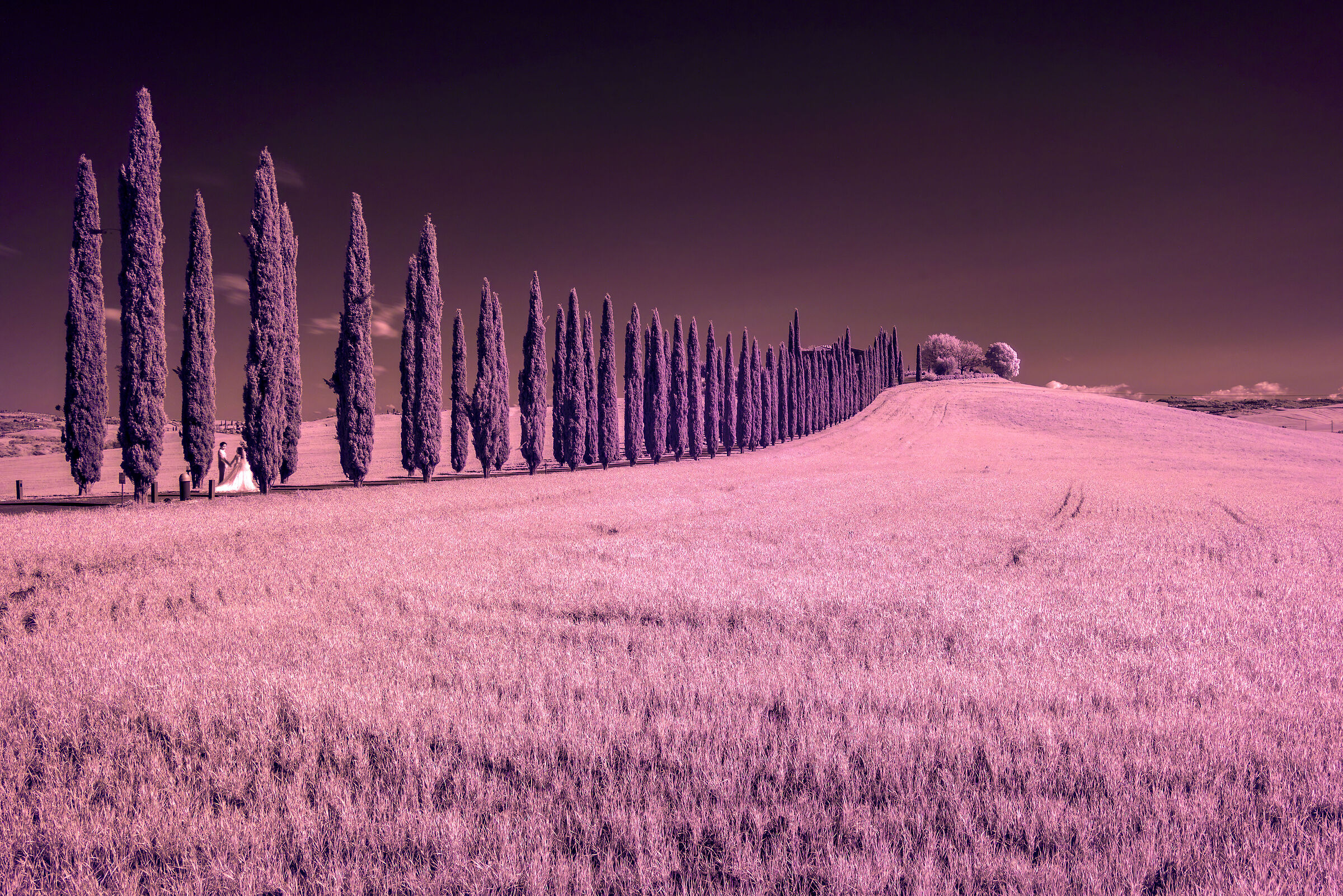 Wedding in Val d'Orcia