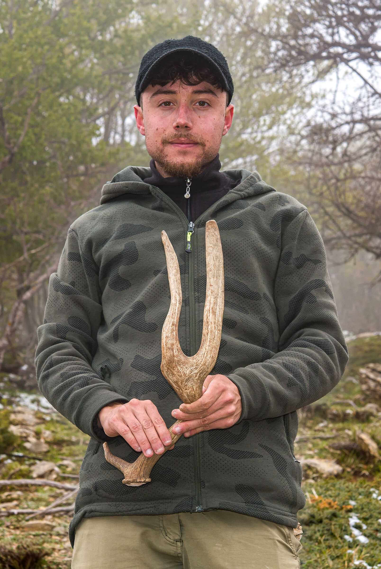 Stages of special fallow deer, more unique than rare