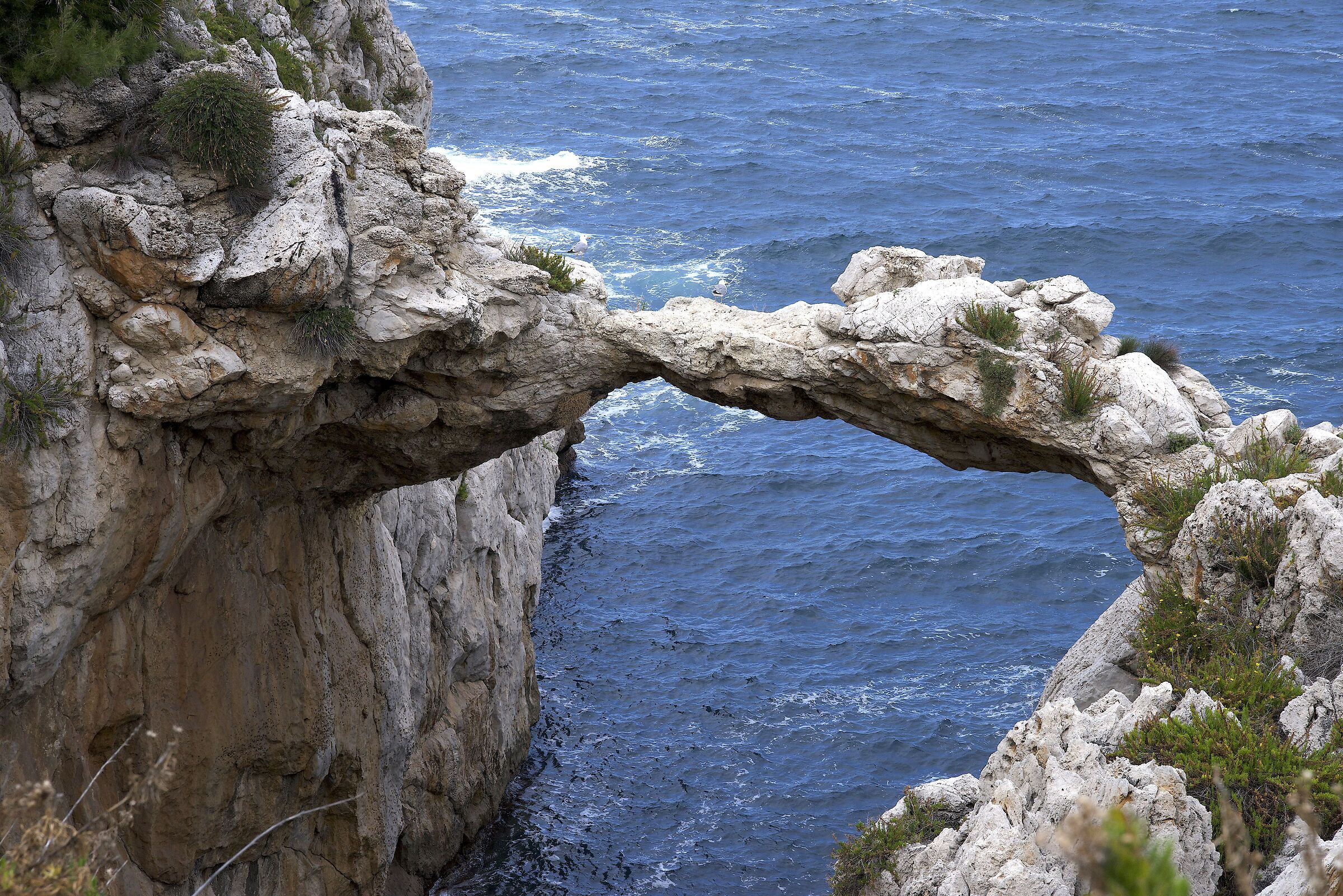 ARCO AZZURRO - MONGERBINO