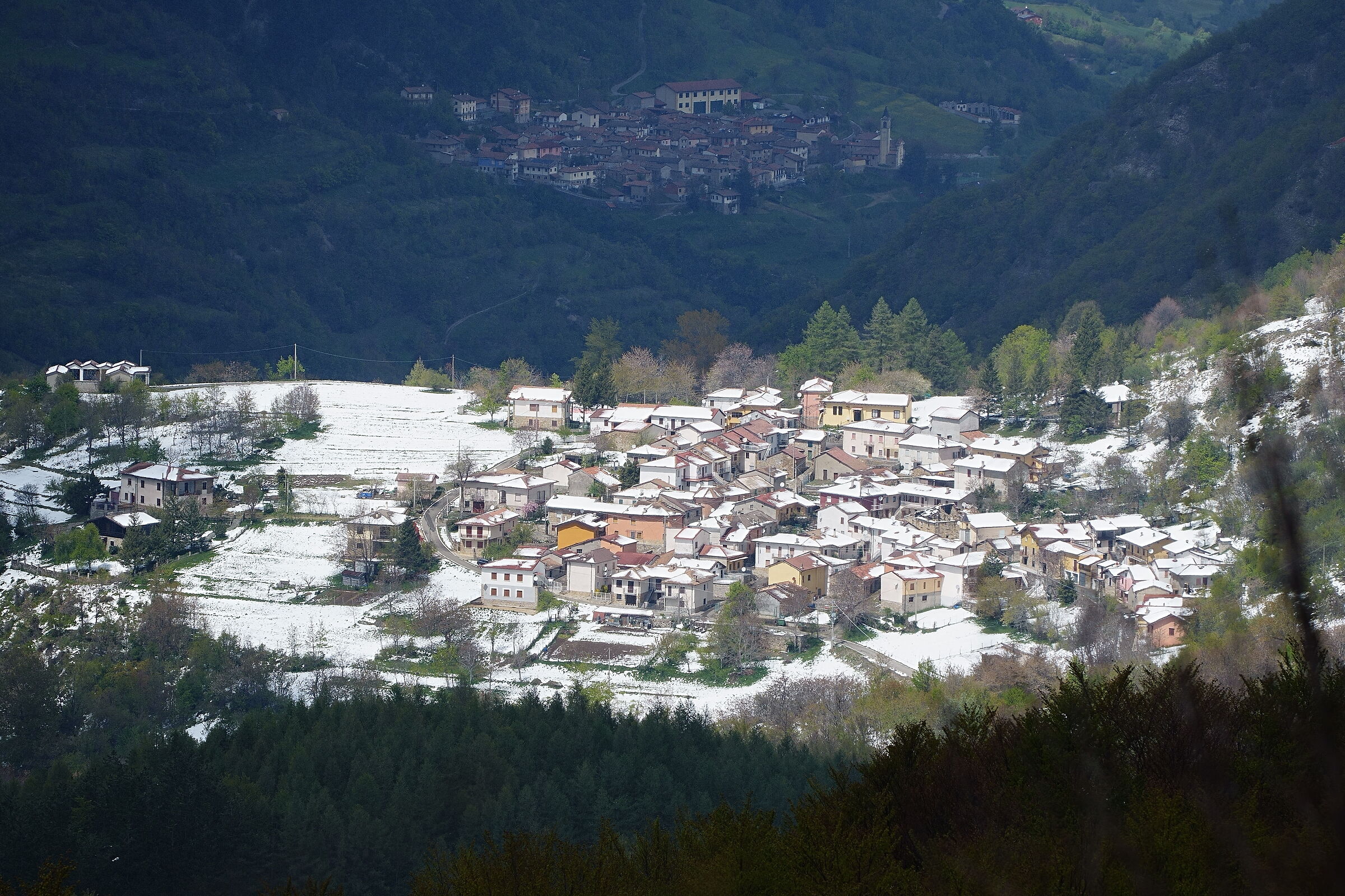 Gemelli diversi