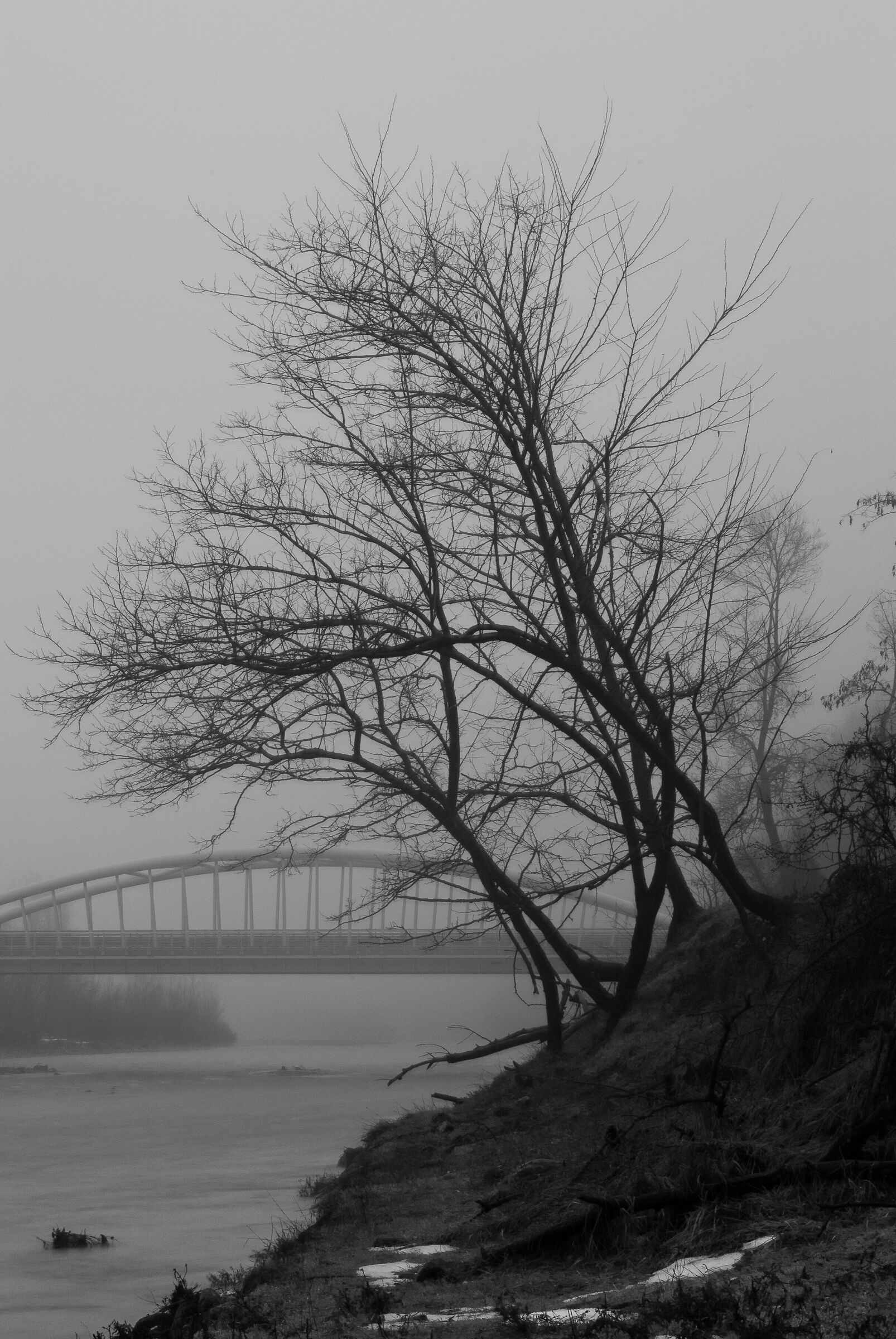 Arquata Scrivia - ponte per Vocemola