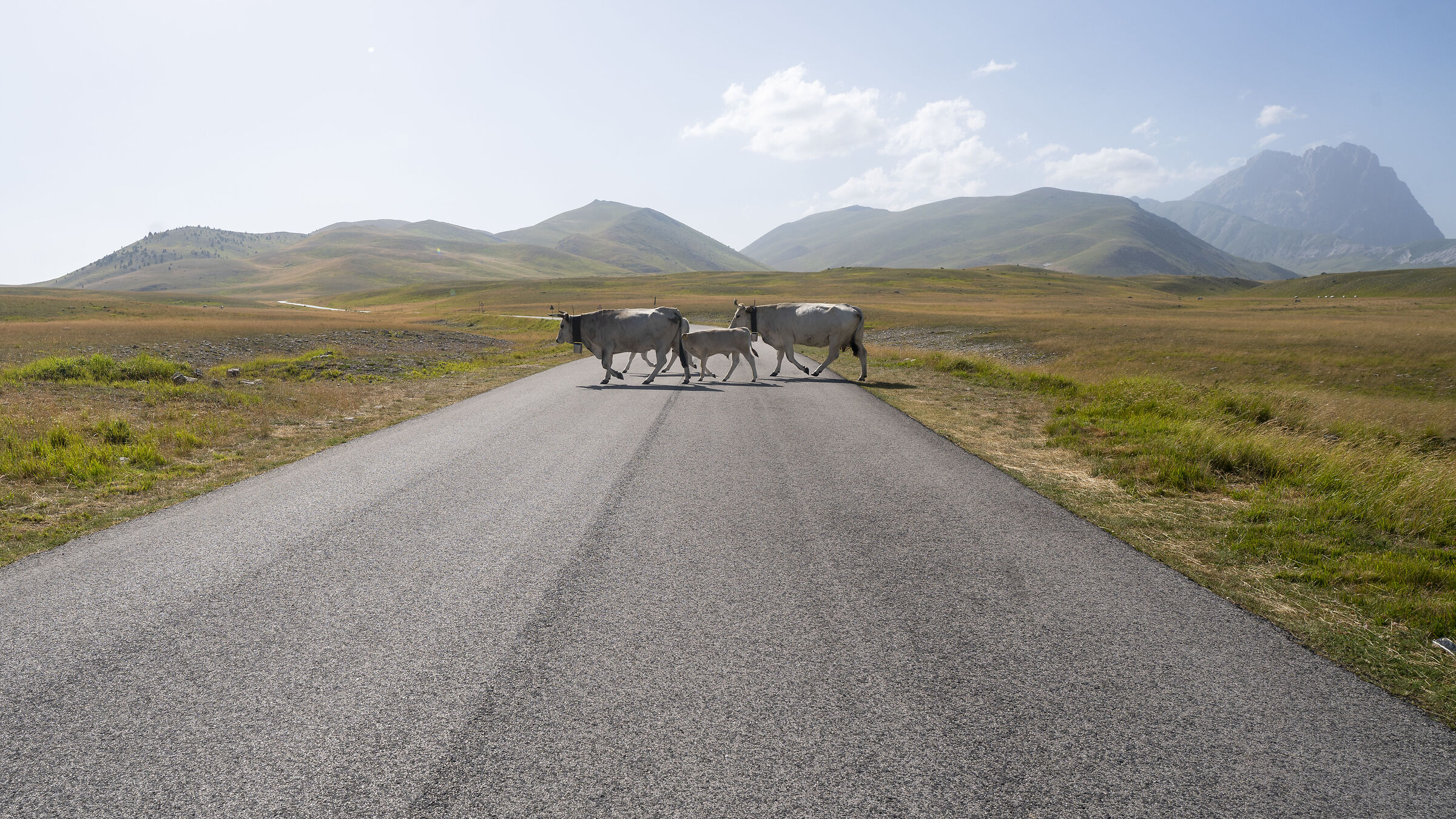 Campo Imperatore