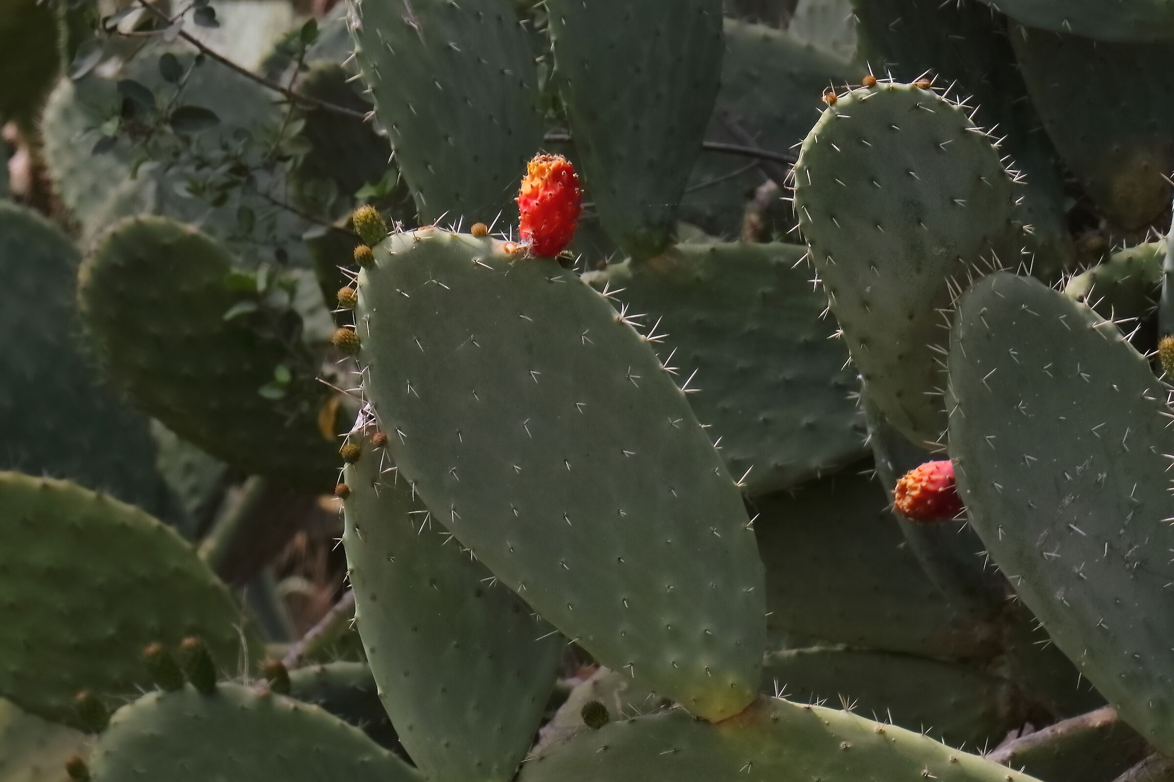 Noto SR 14-04-2024 - 0092