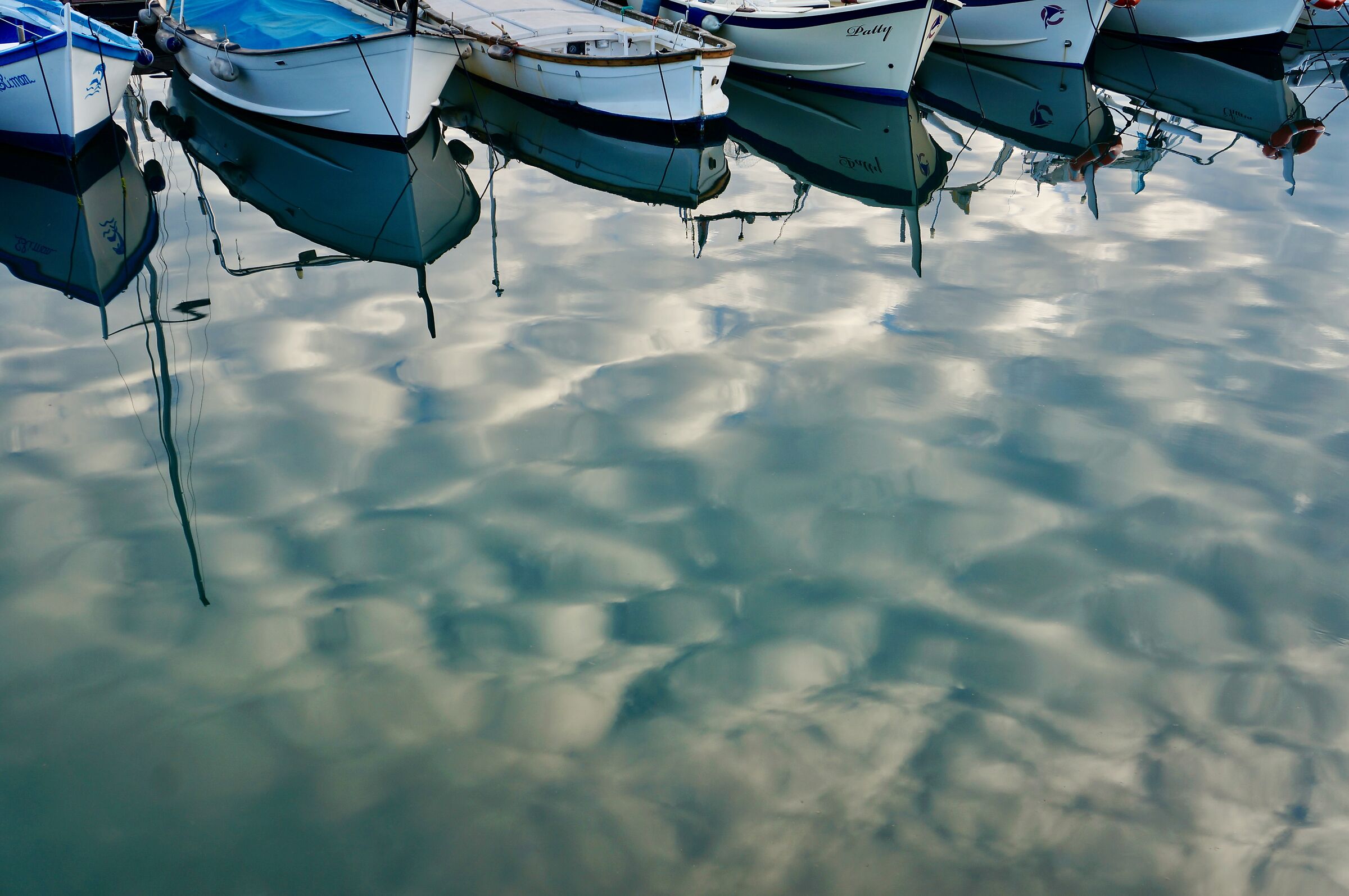 Untitled Photo