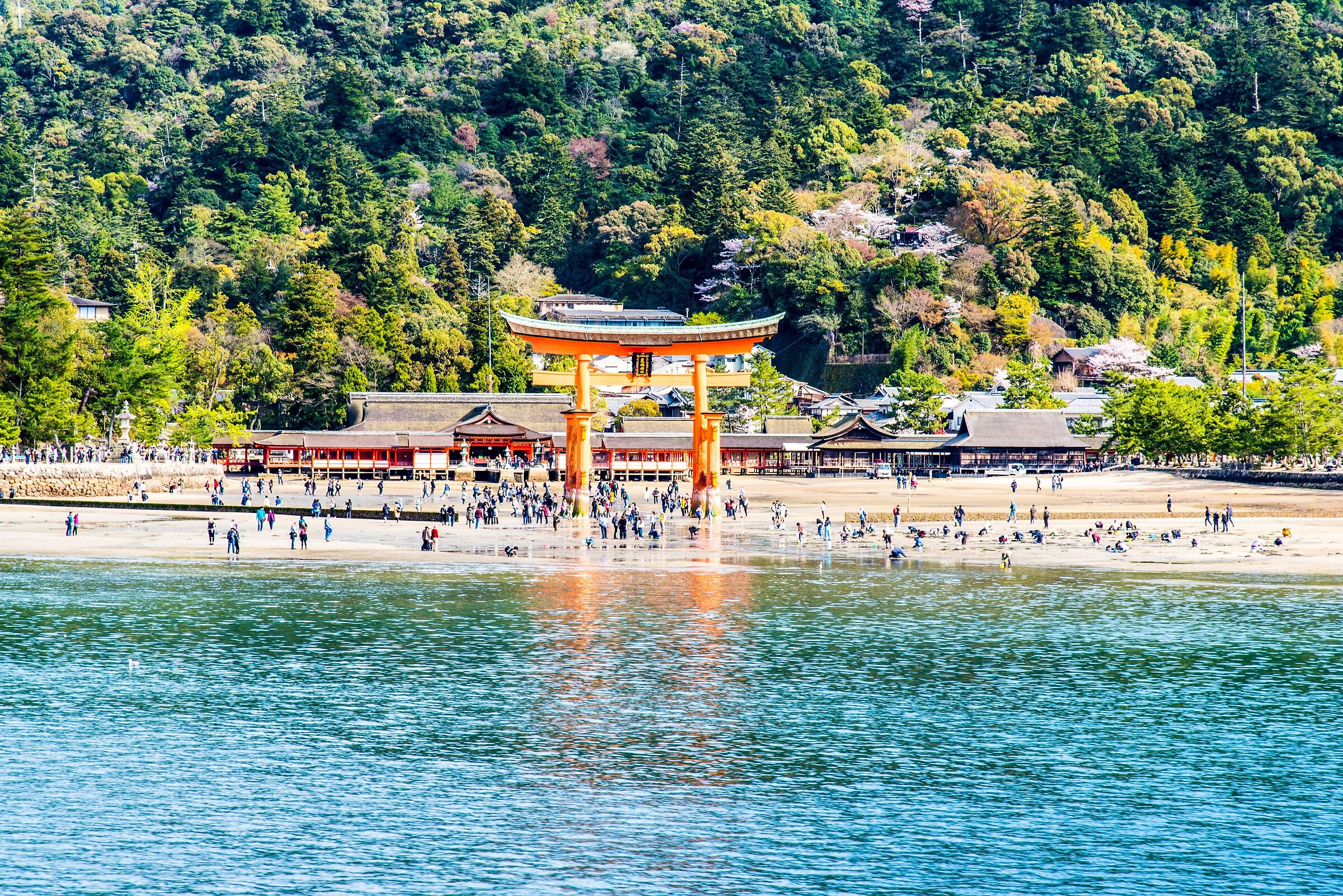 Miyajima Island