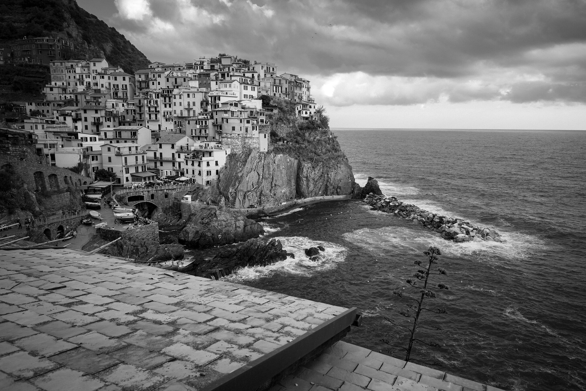Manarola