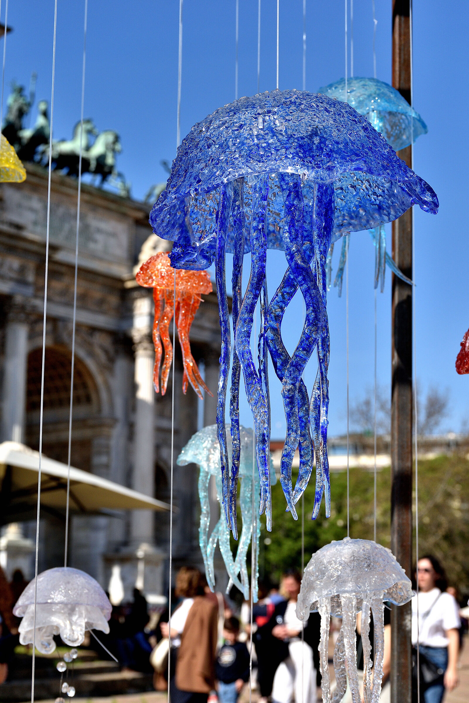 Jellyfish in Parco Sempione