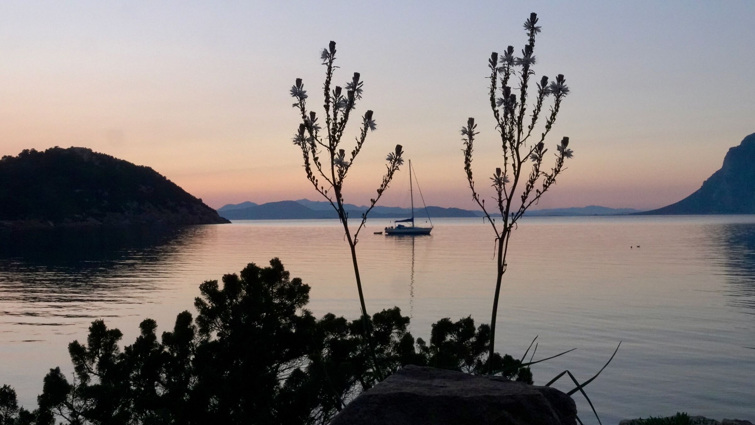 Boat among the asphodels