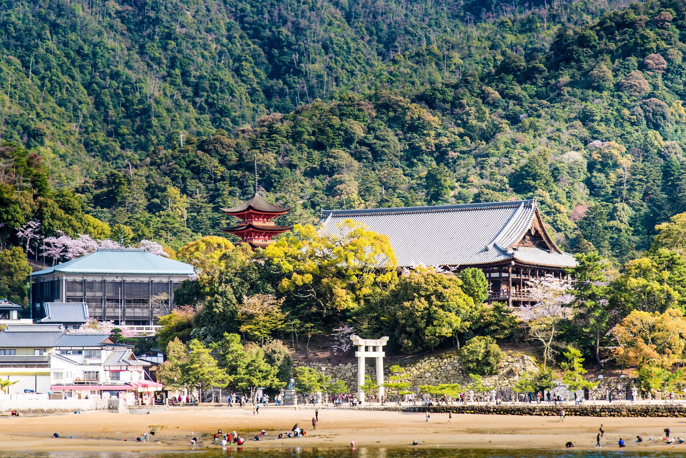 Miyajima Island Torii Itsukushima Shrine