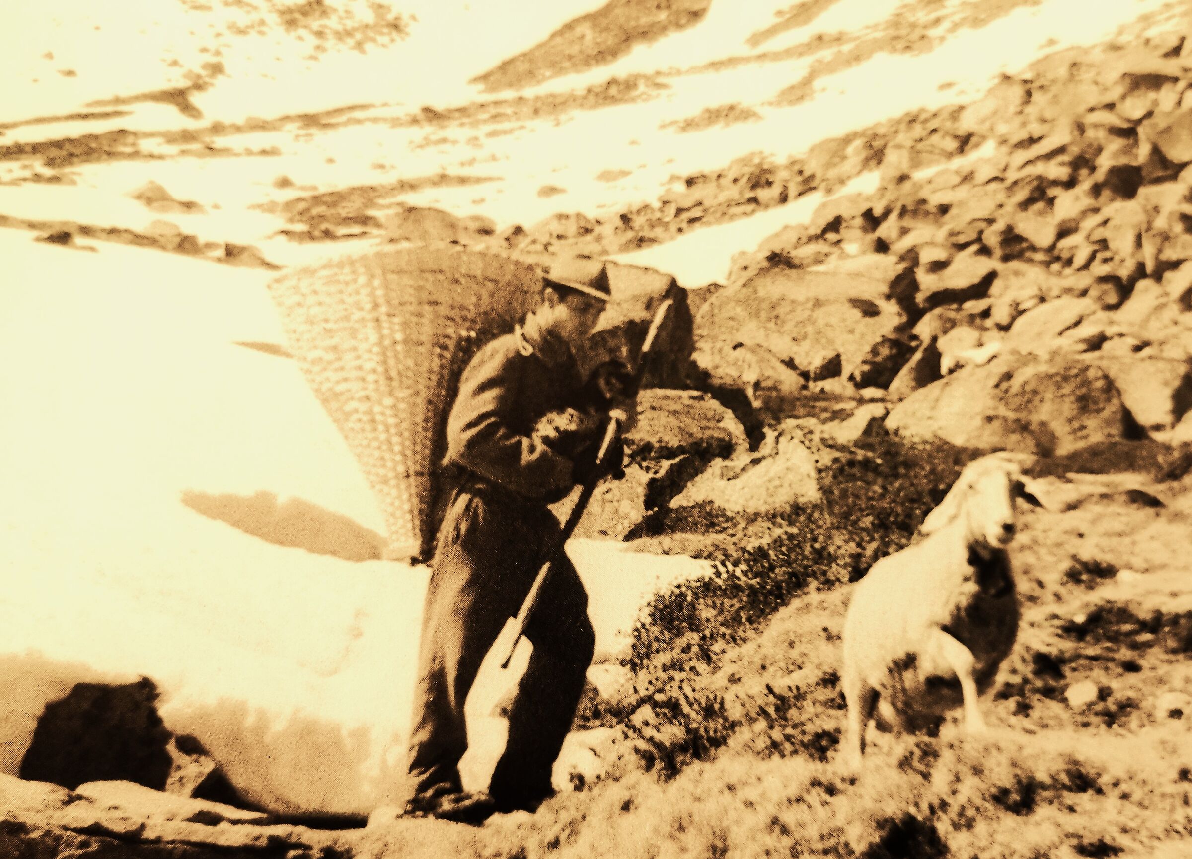 Rogue Nostalgia - 47 -