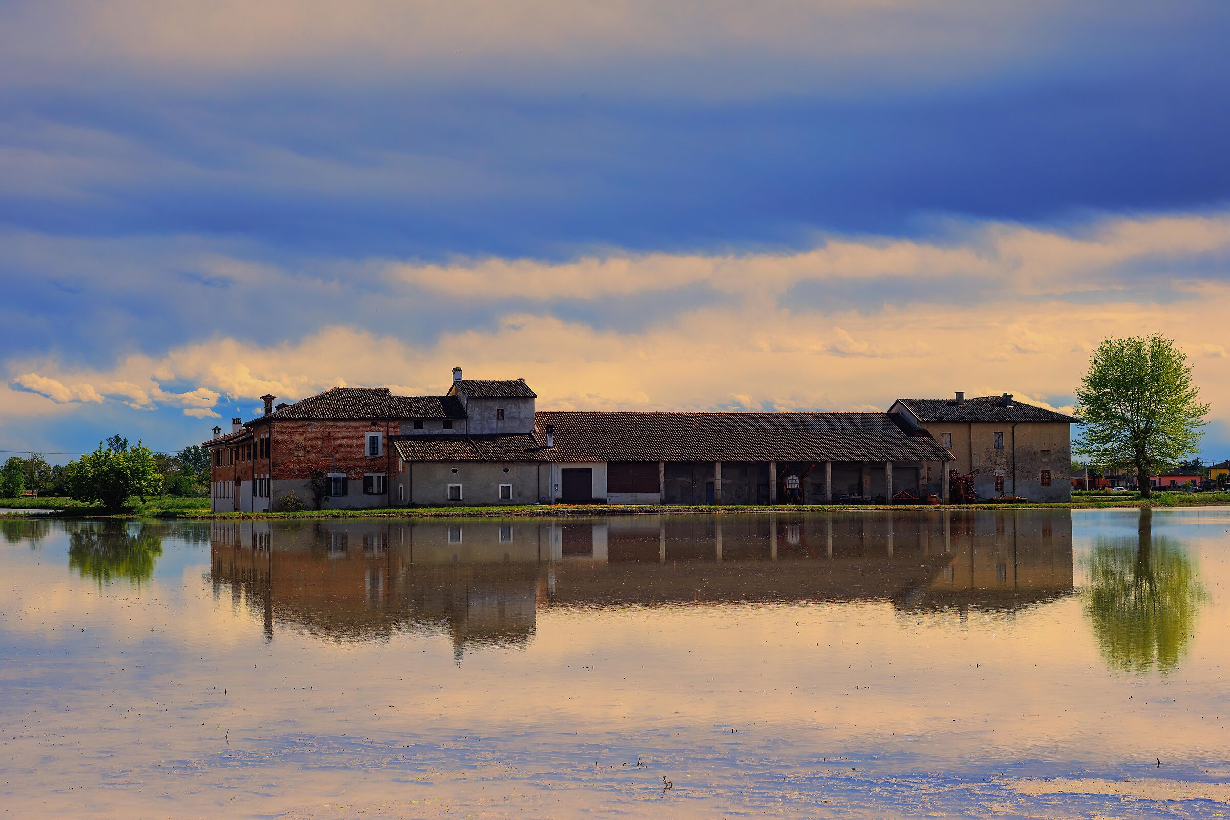 Reflections in paddy fields