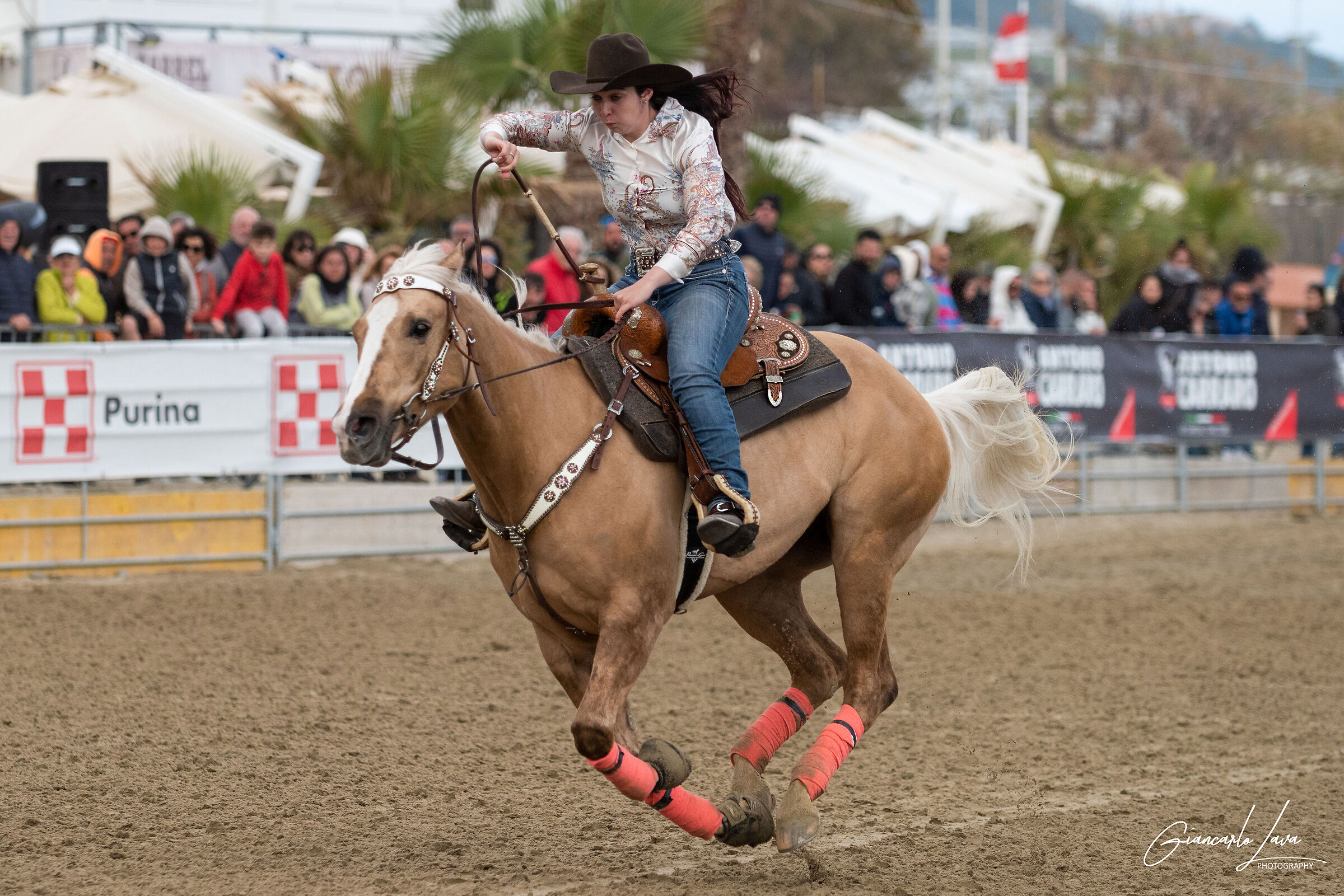 Barrel on the beach 2024