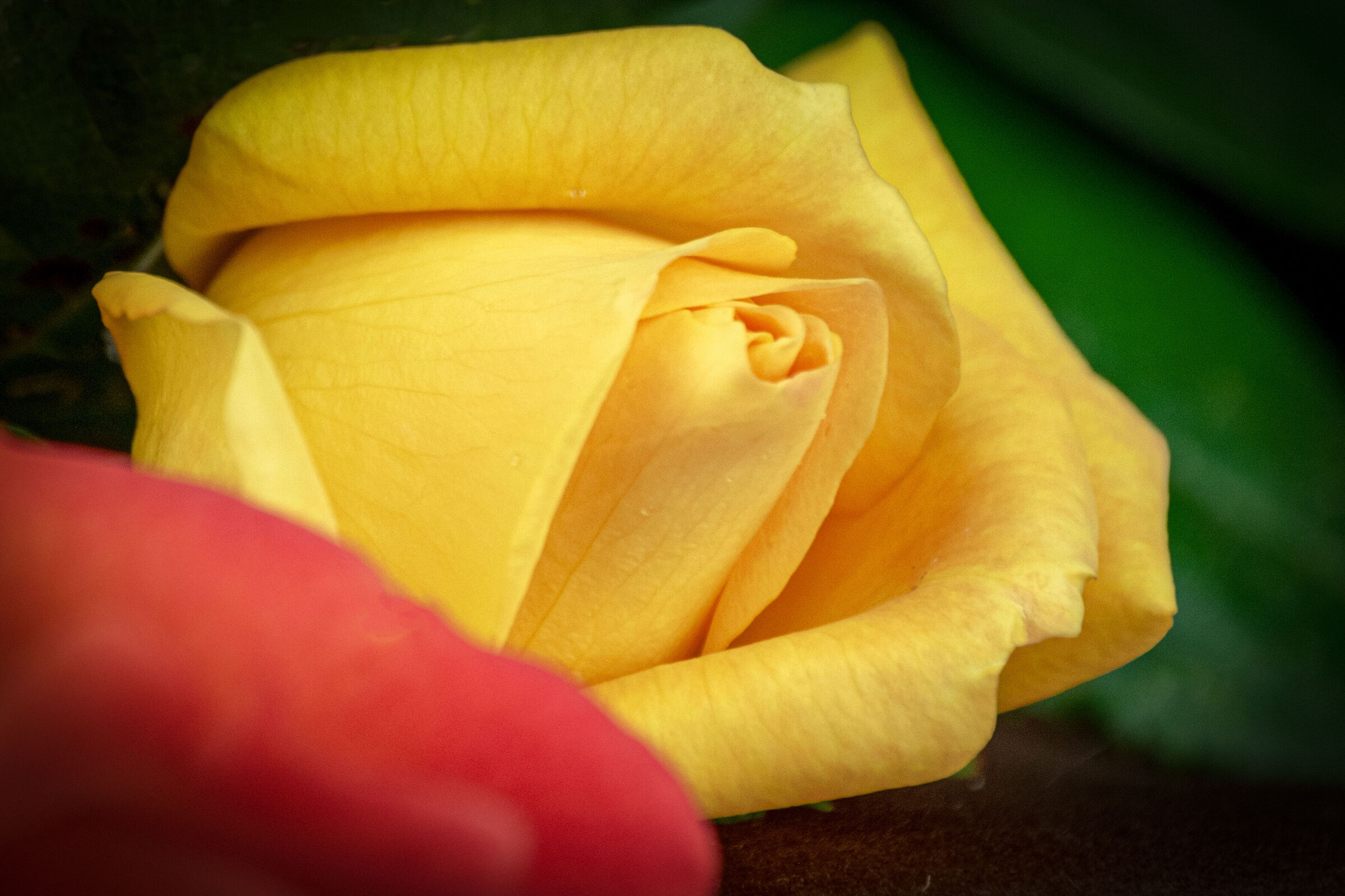 simply yellow